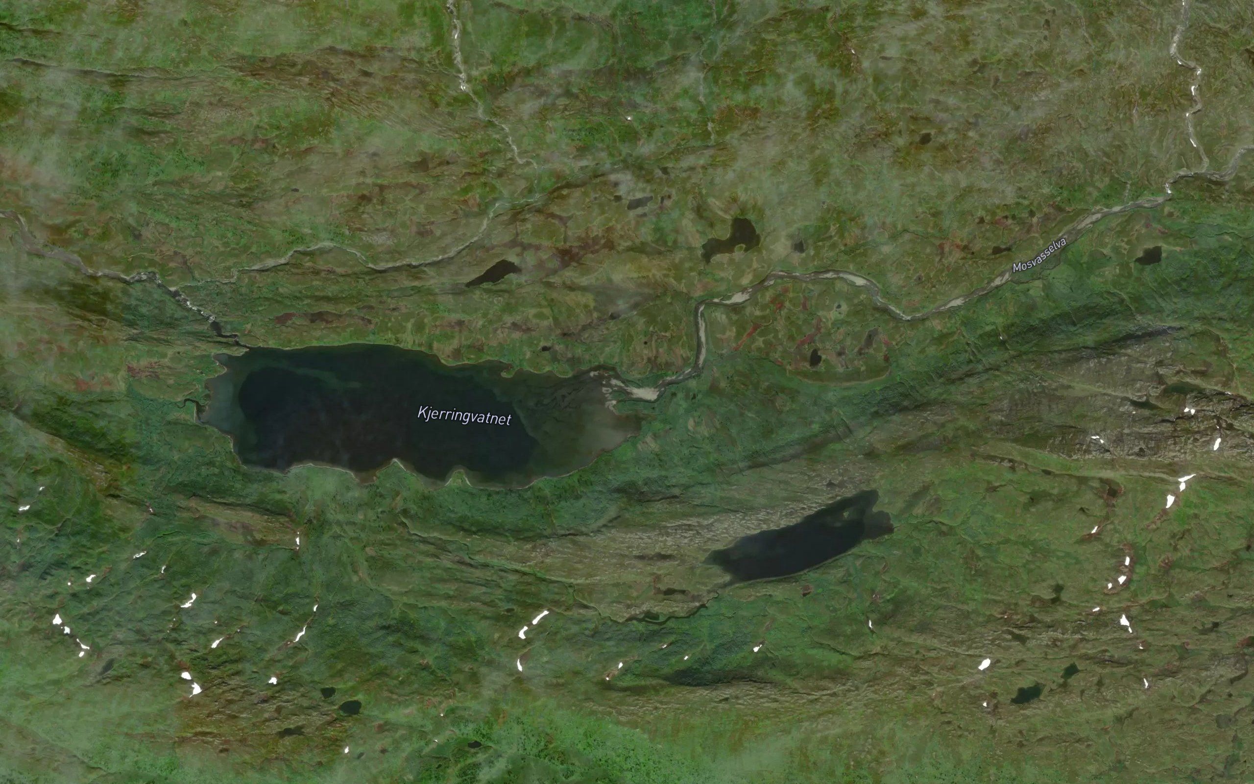 Mosvasselva