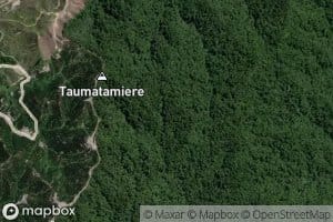 Taumatamiere Stream