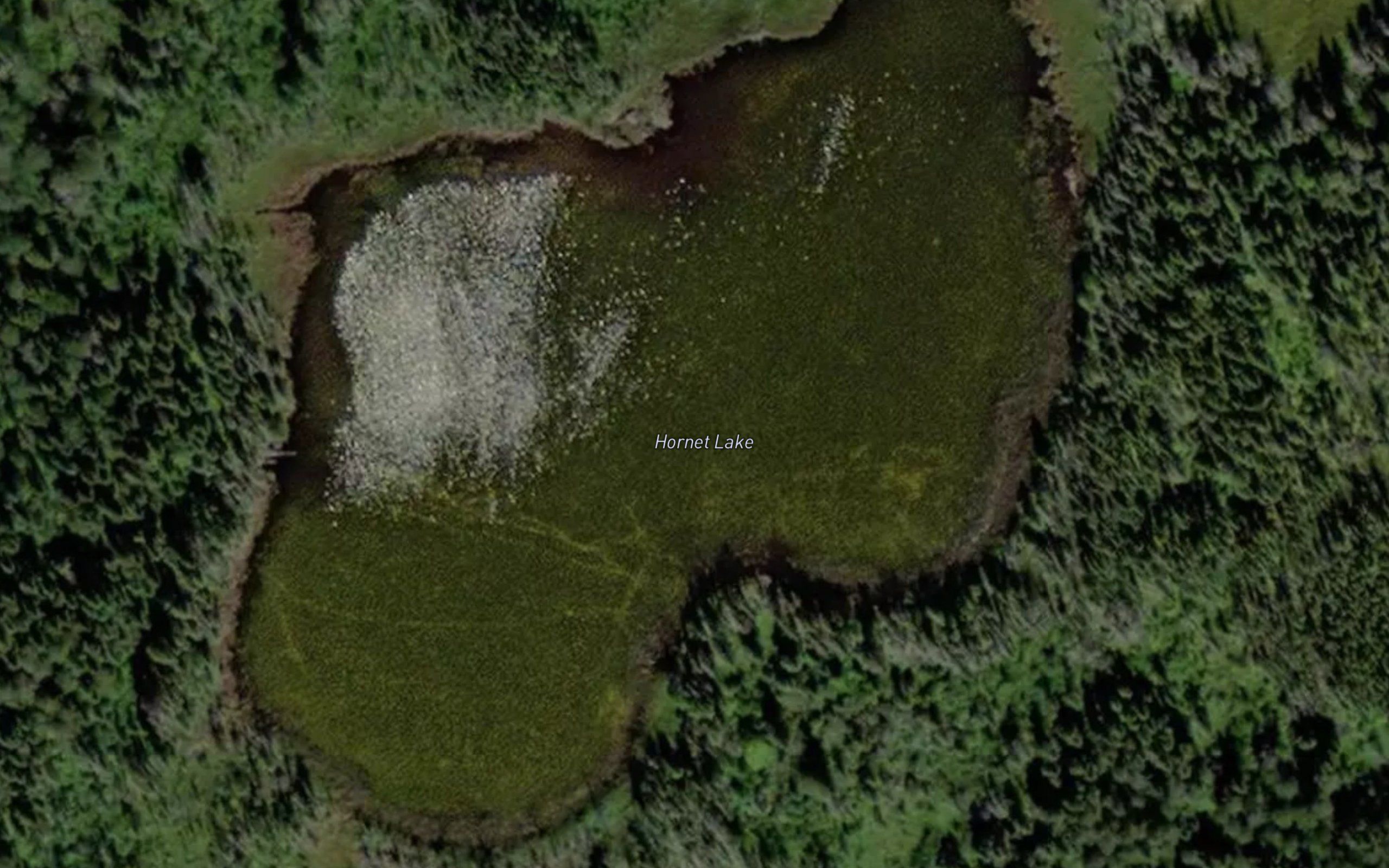 Hornet Lake