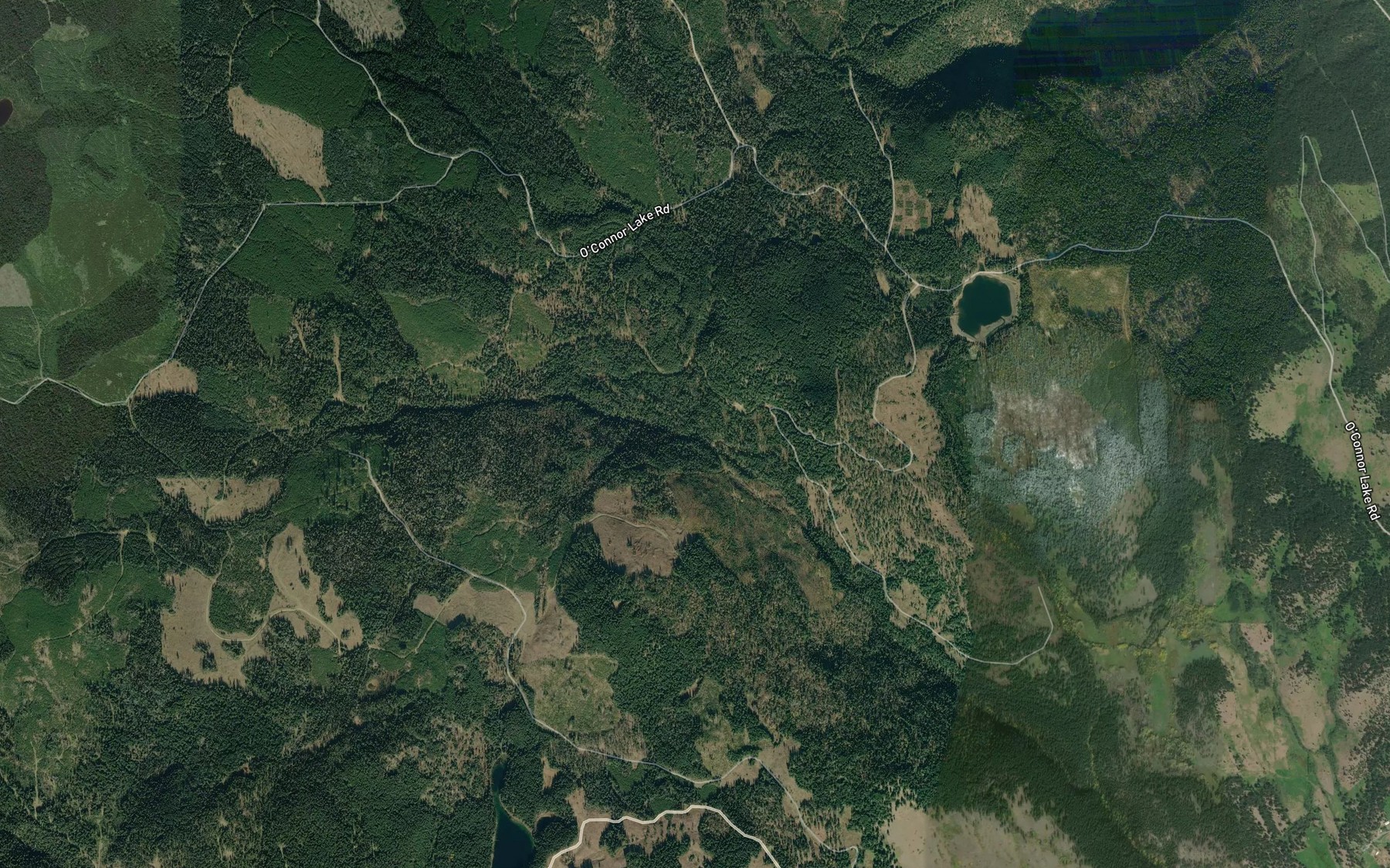 Satellite map of the McCauley Creek