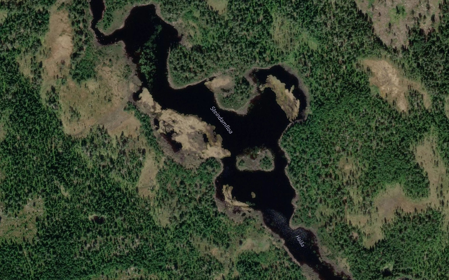 Satellite map of the Steindamfloa