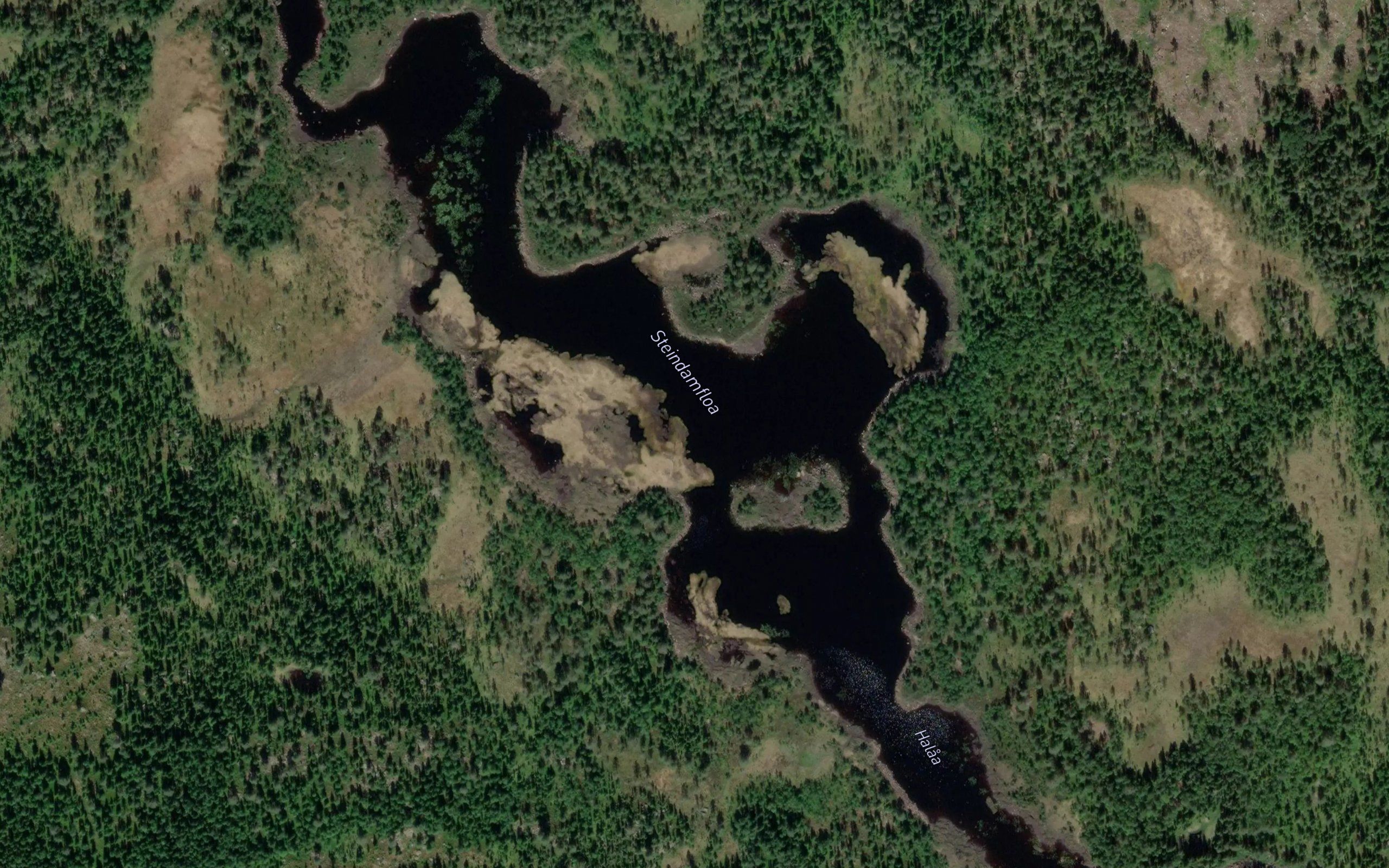 Steindamfloa