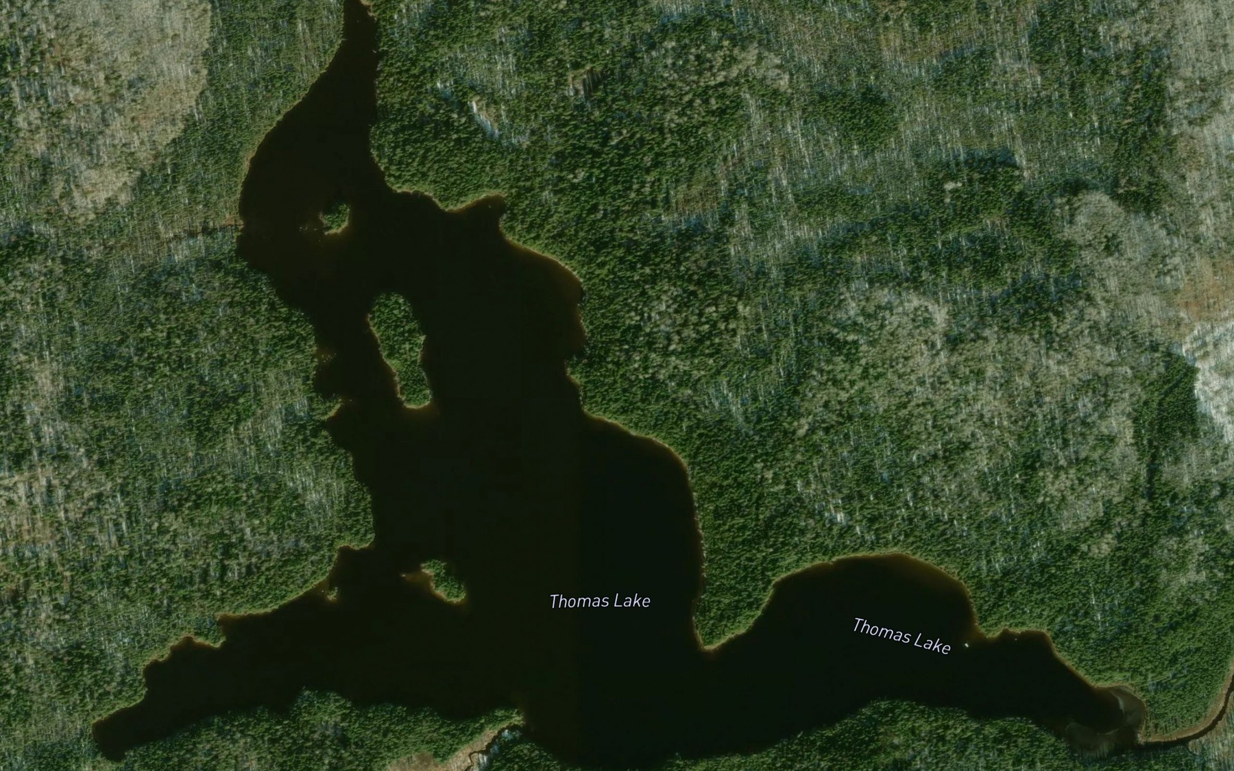 Satellite map of the Thomas Lake