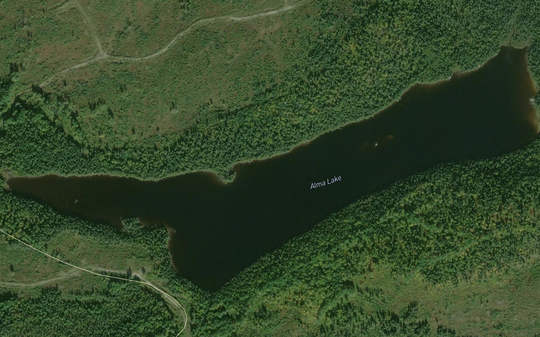 Satellite map of the Alma Lake