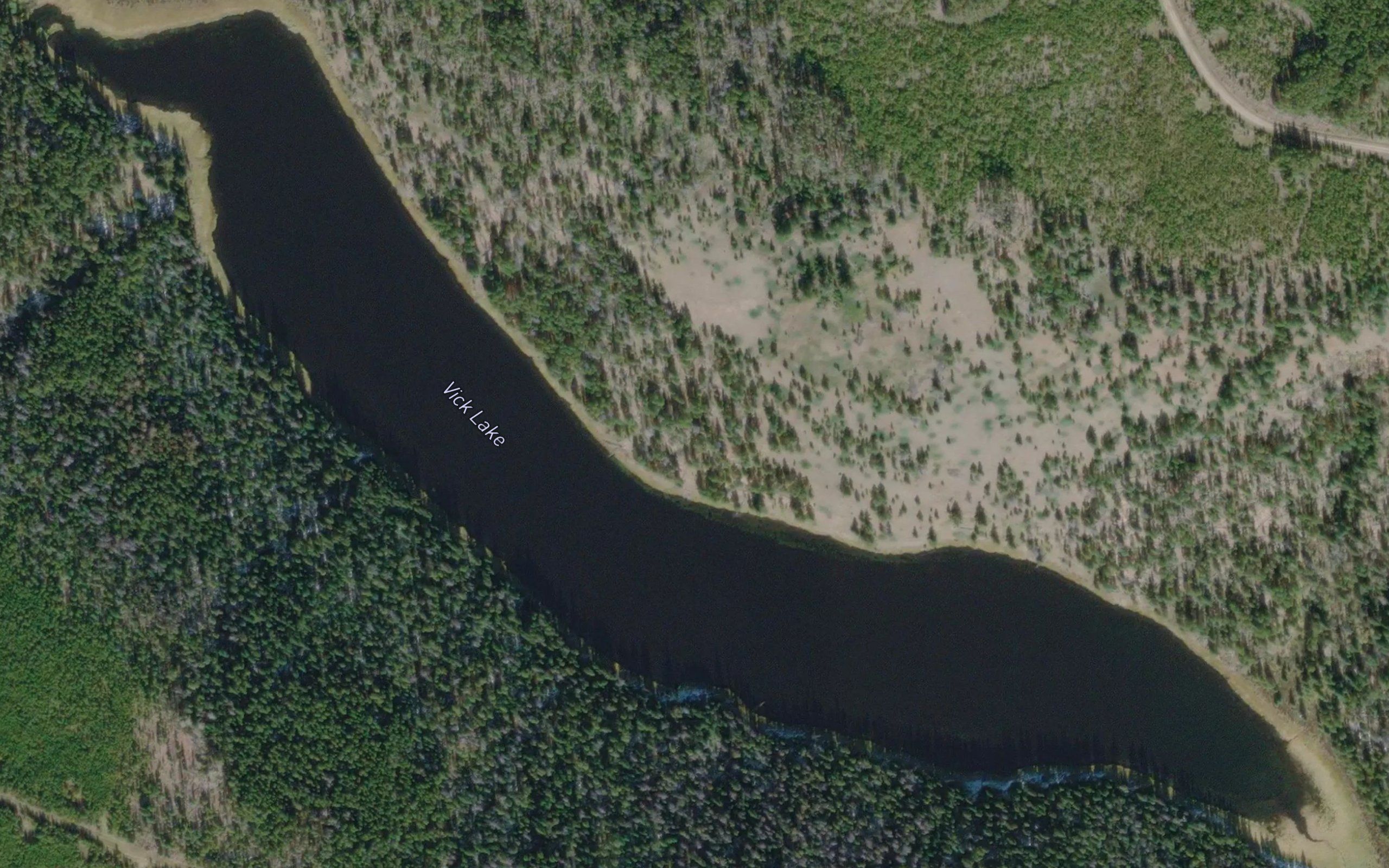 Vick Lake