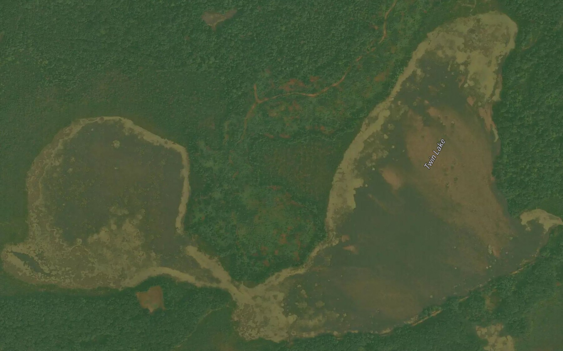 Satellite map of the Twin Lake