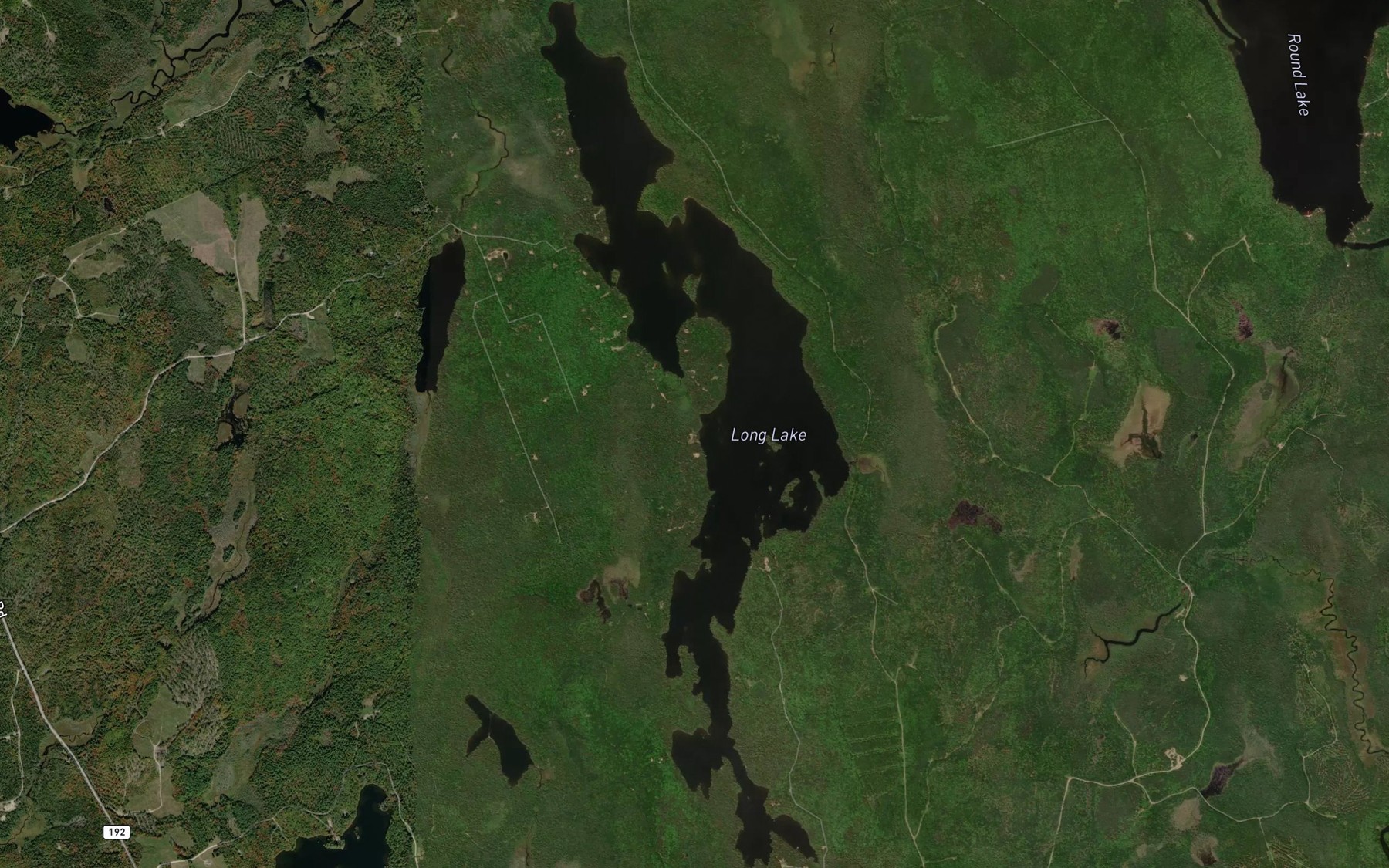 Long Lake Fishing near Machias, ME | Fishbox
