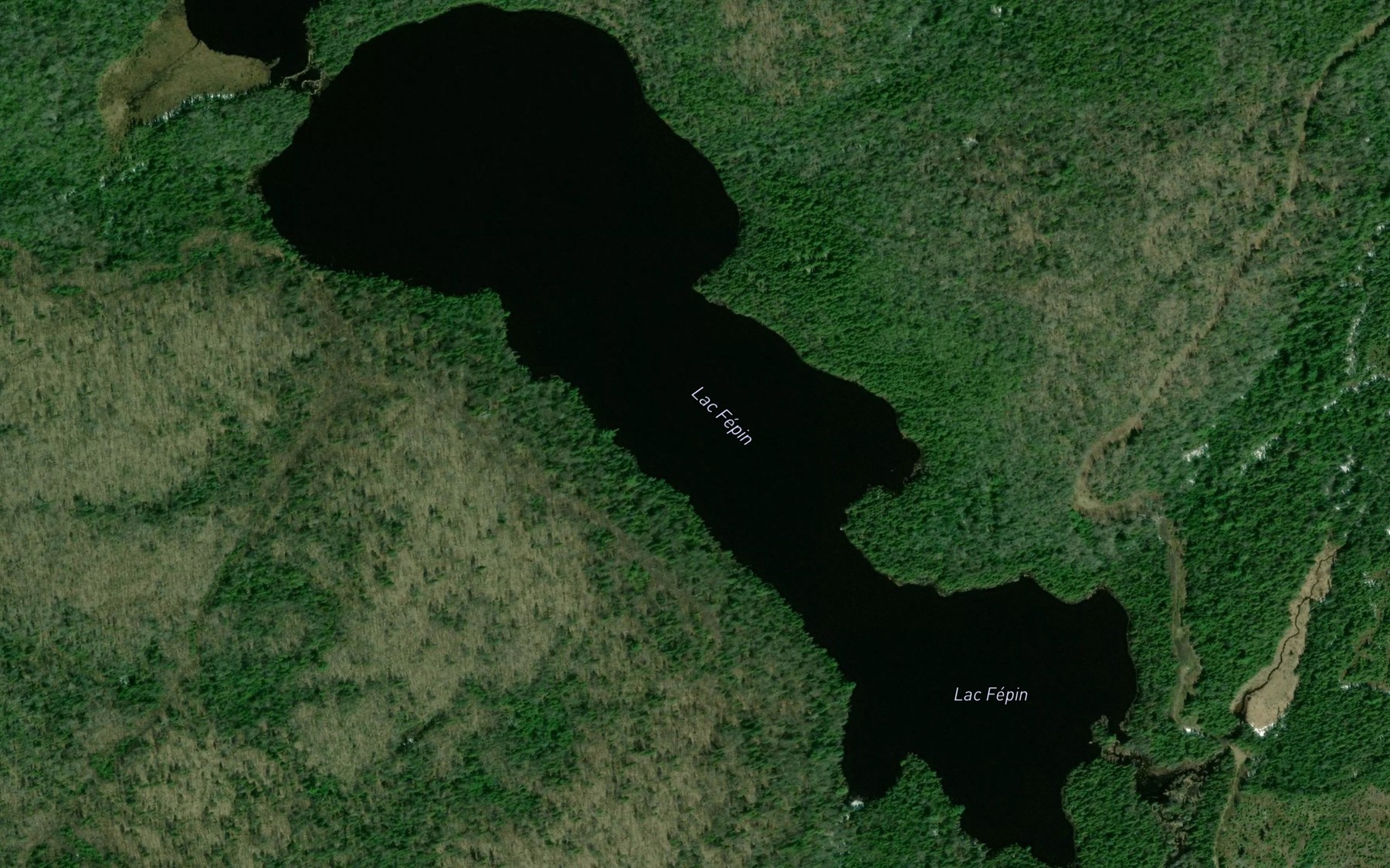 Satellite map of the Lac Fepin