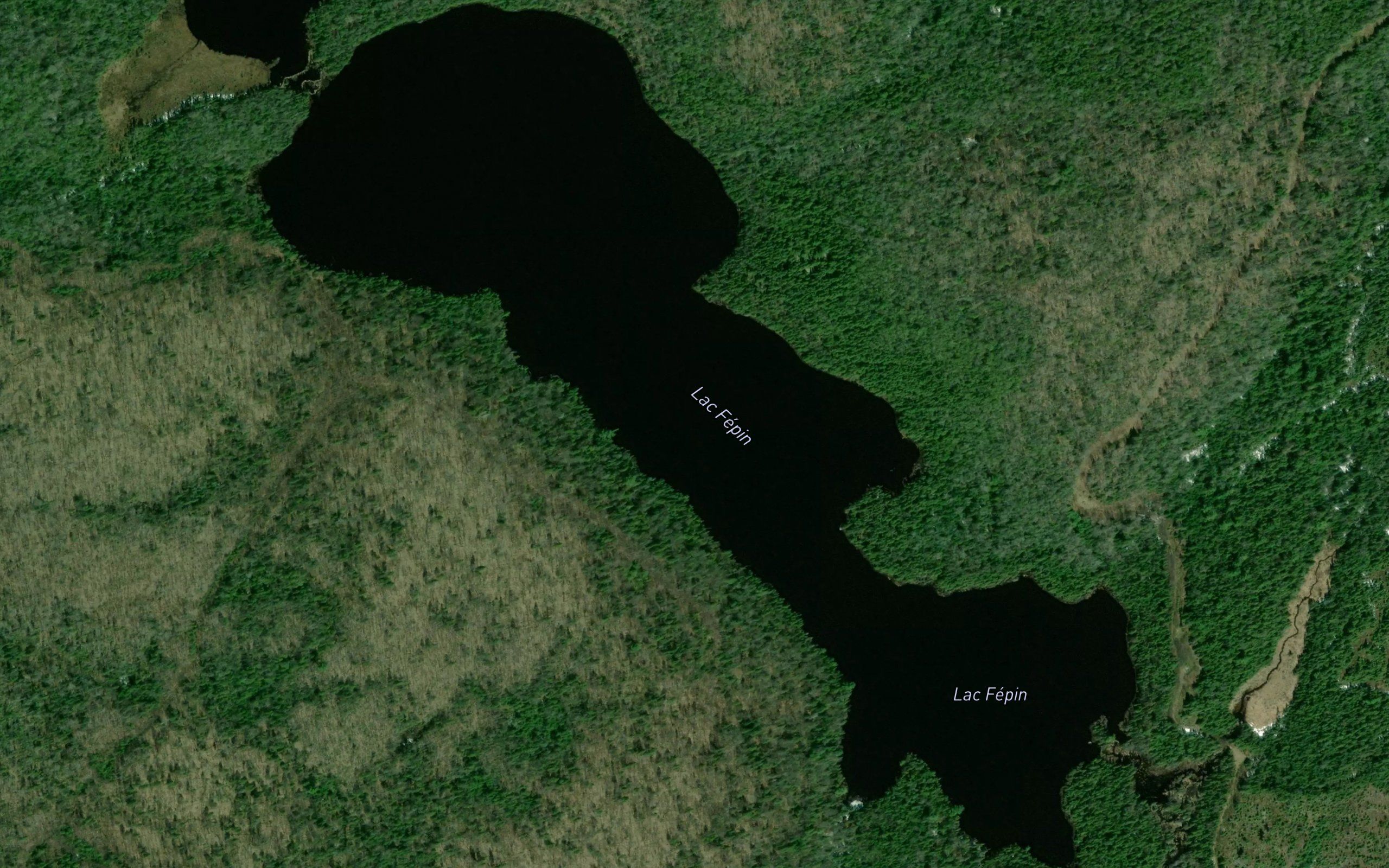 Lac Fepin