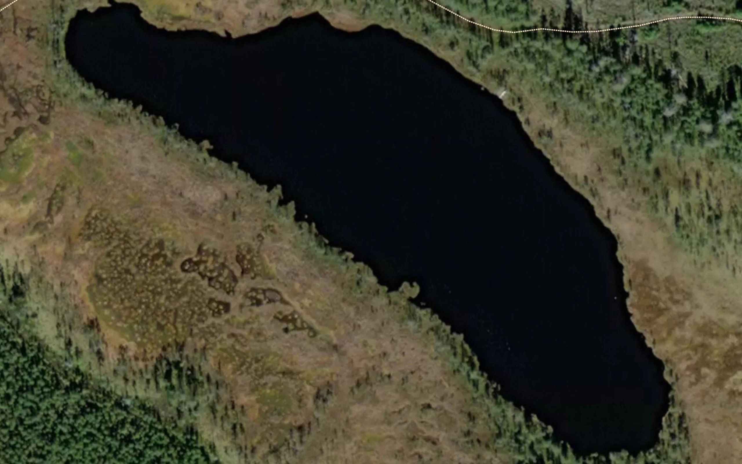 Valkealampi