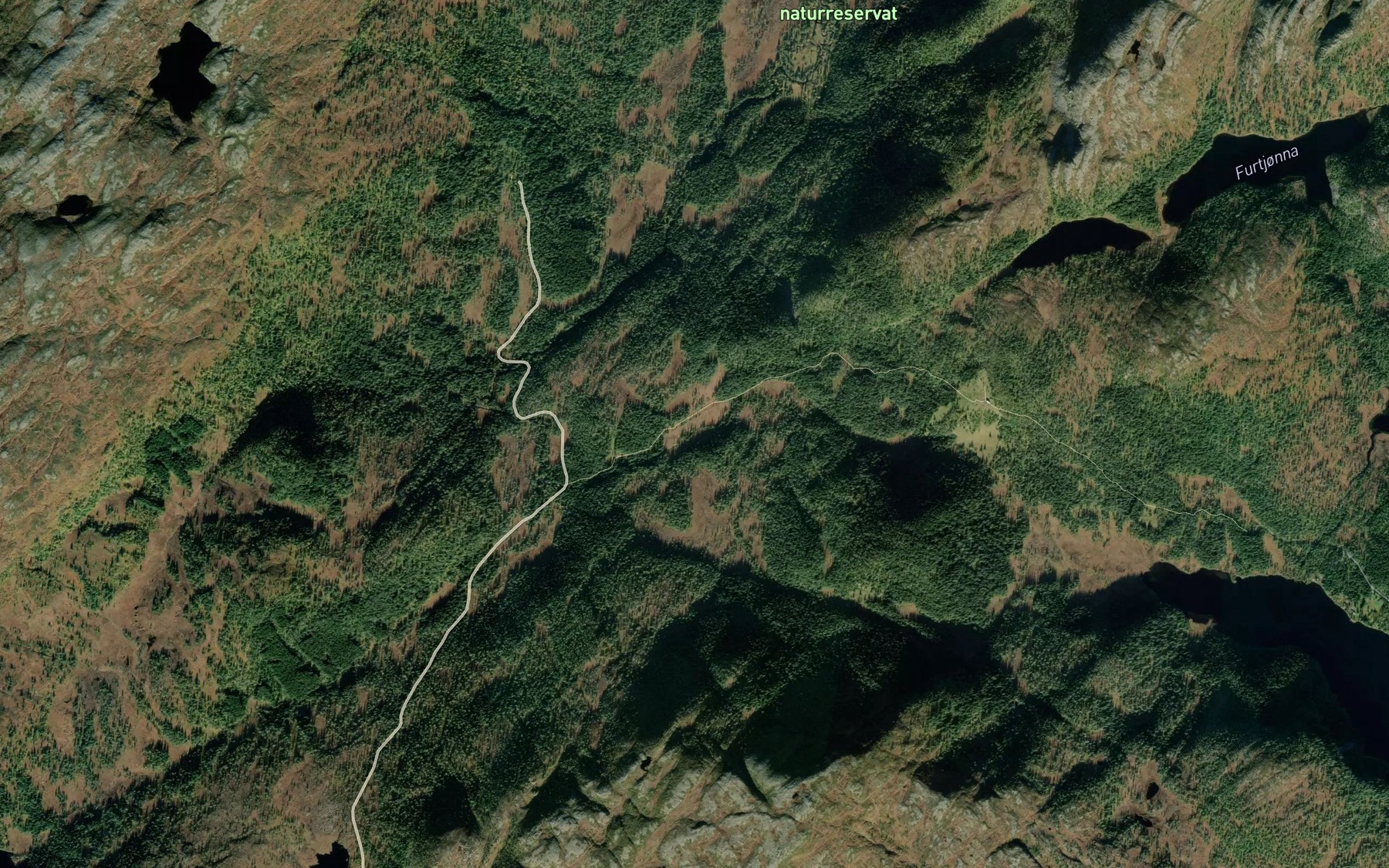 Satellite map of the Bjorndalselva