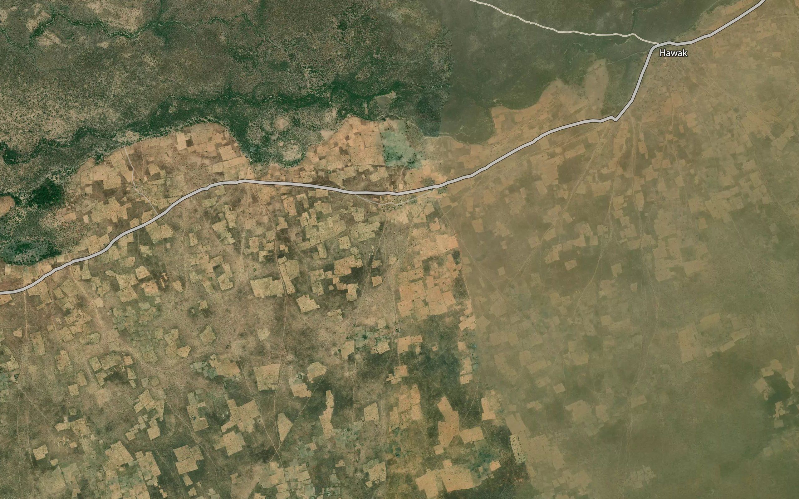 Abu Umm Dannan