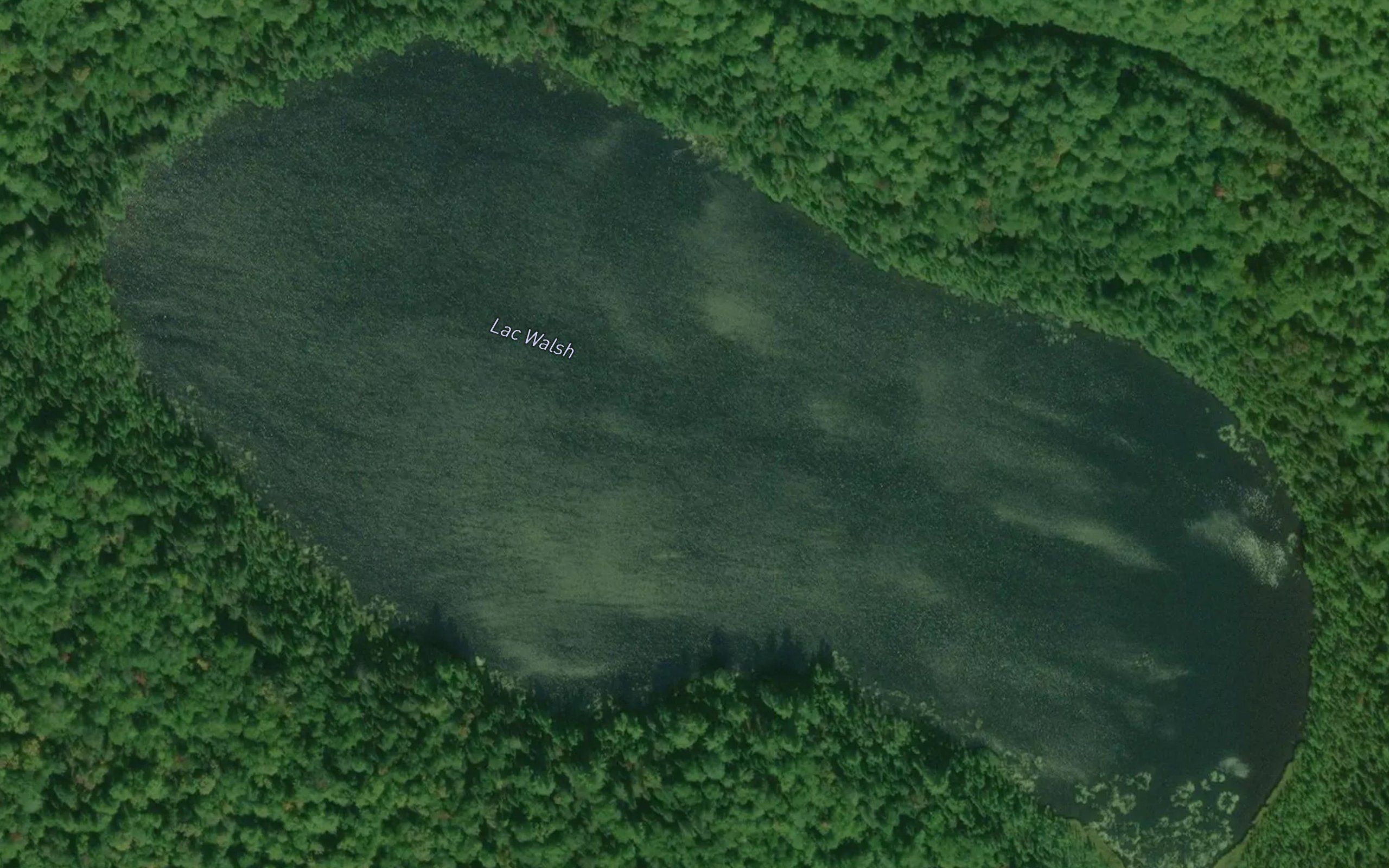 Lac Walsh
