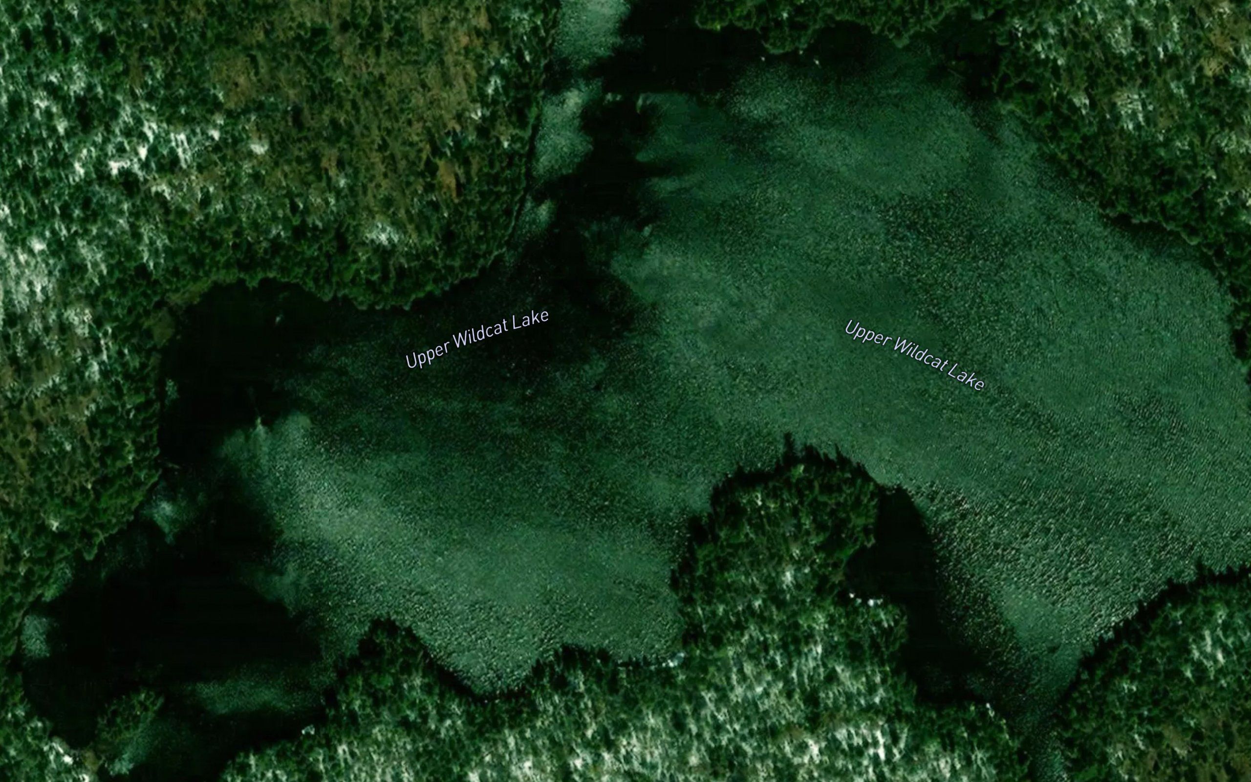 Upper Wildcat Lake