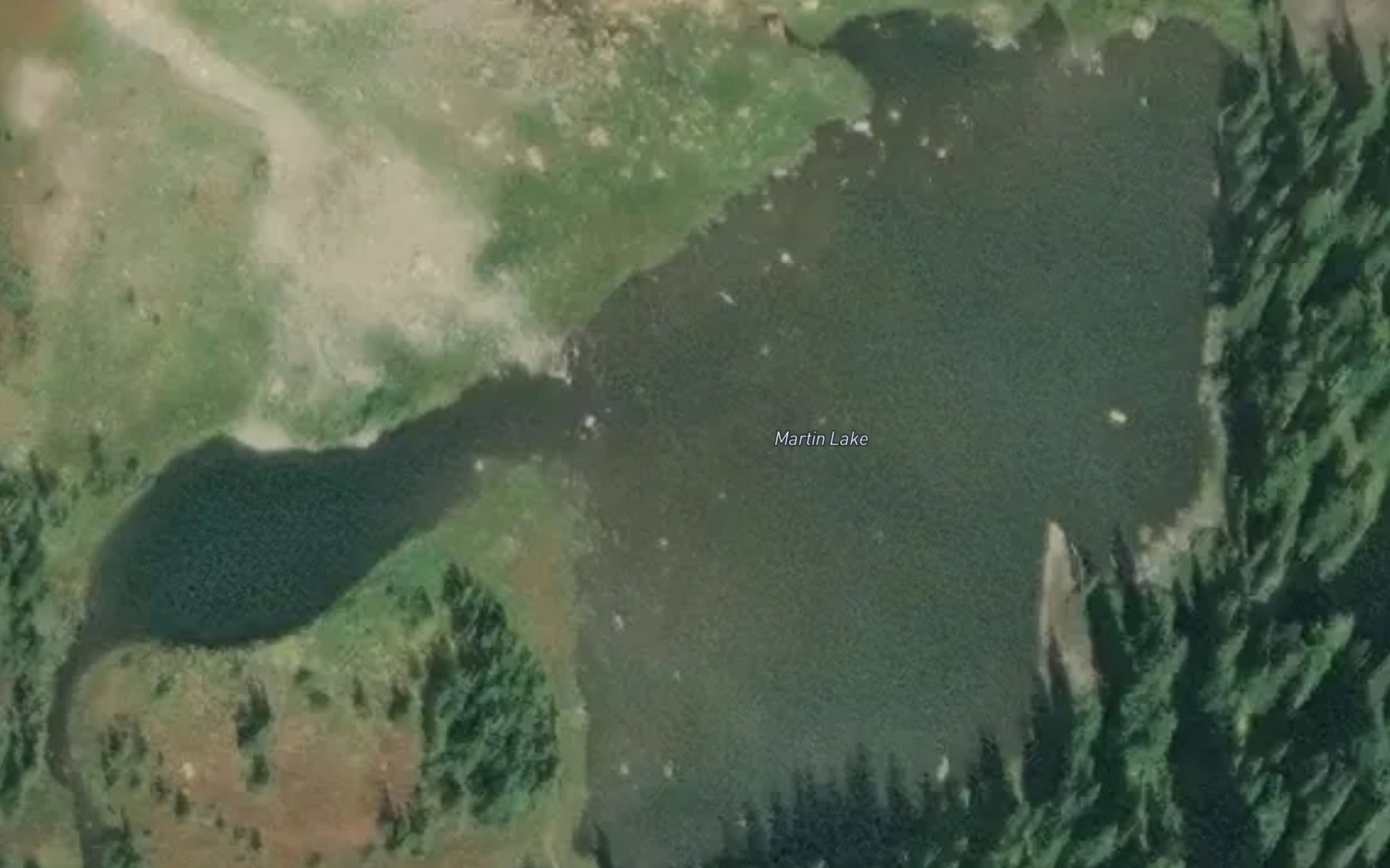 Satellite map of the Martin Lake