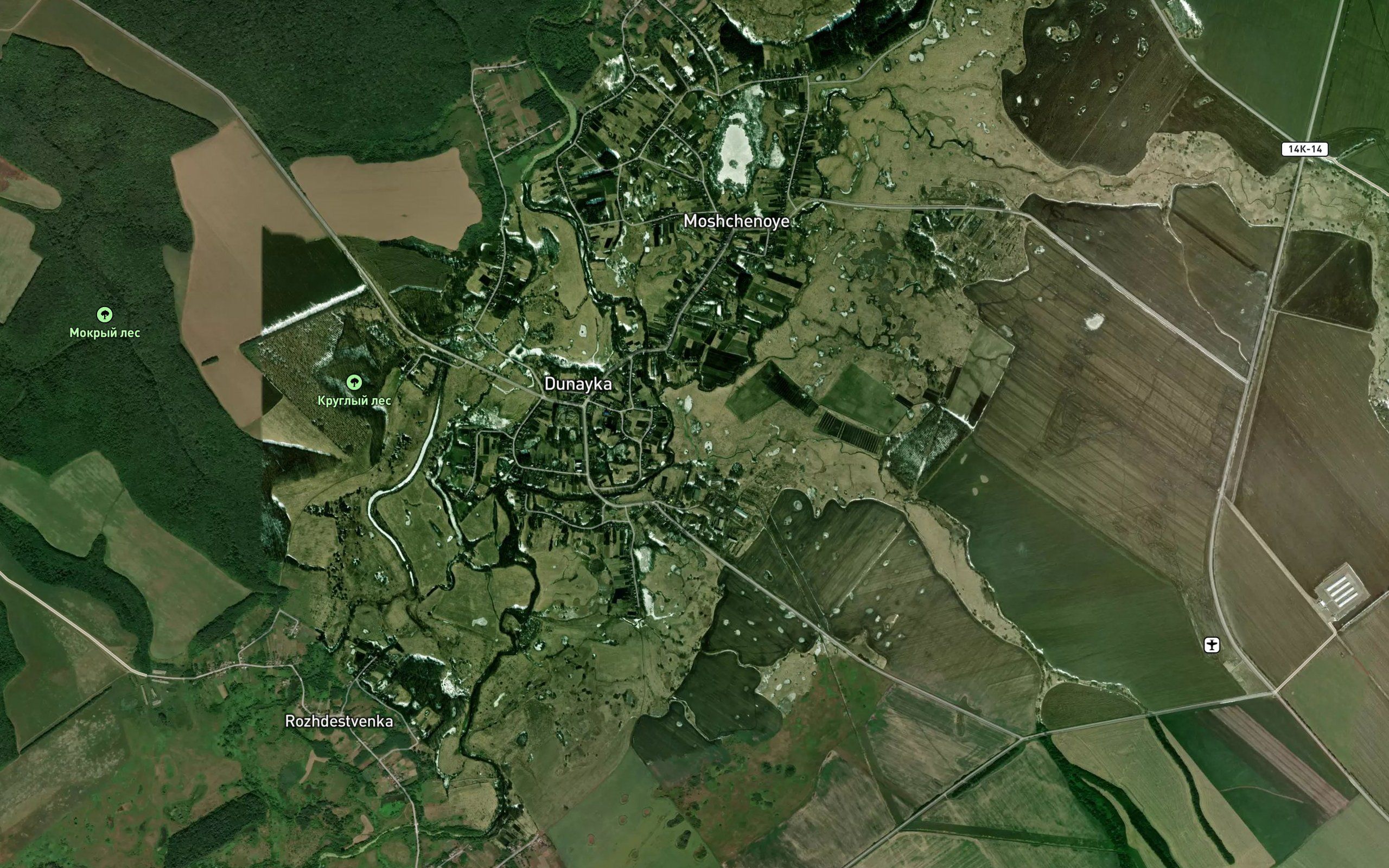 Lisenok