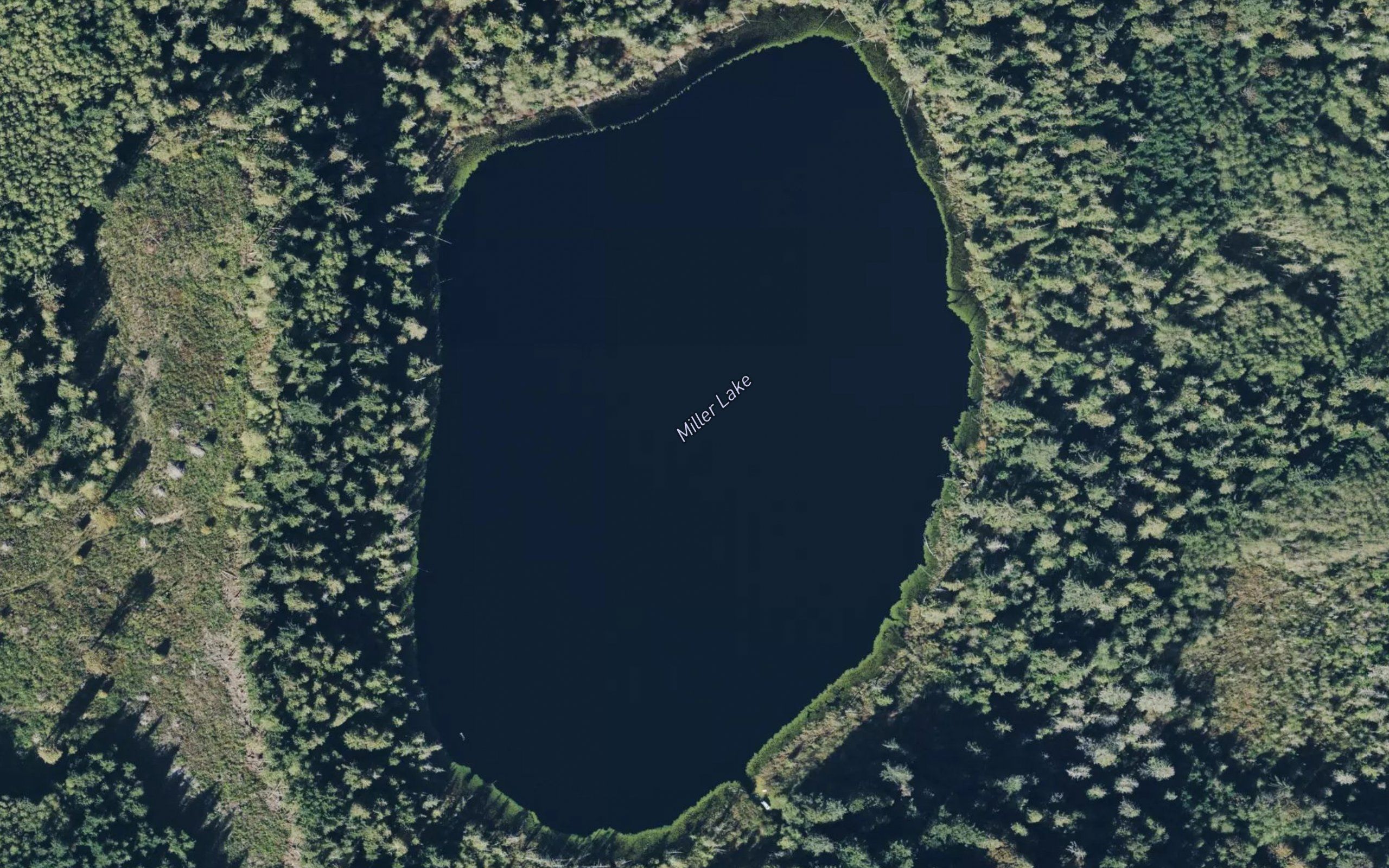 Miller Lake