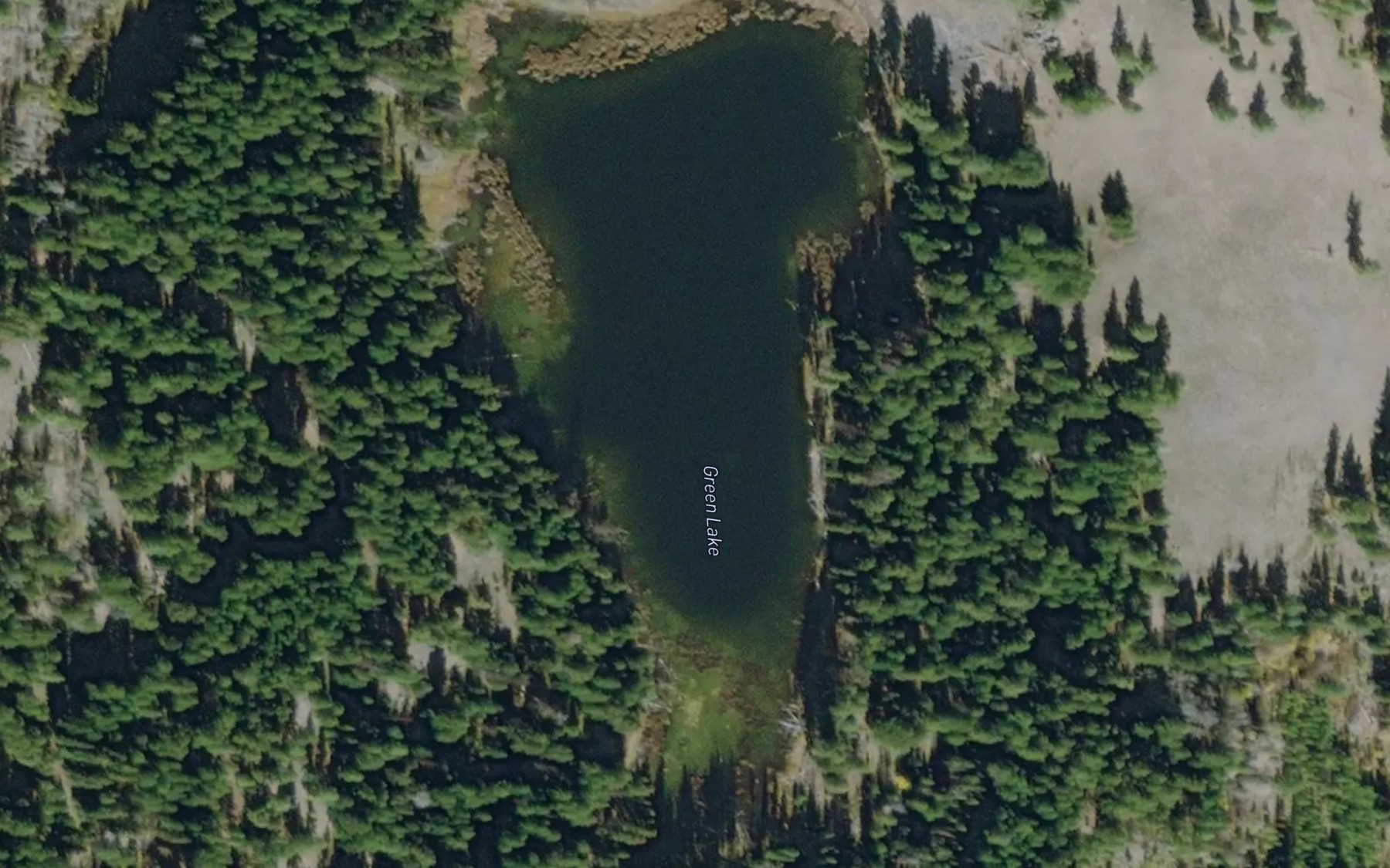 Satellite map of the Green Lake