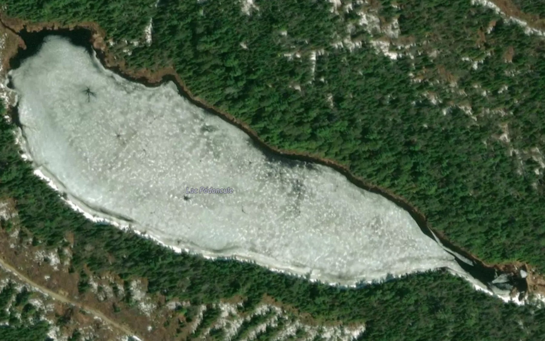 Satellite map of the Lac Pedoncule