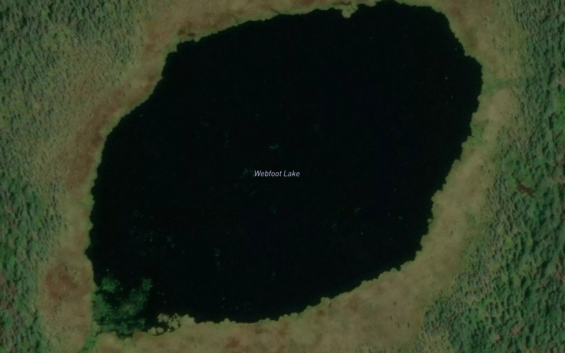 Satellite map of the Webfoot Lake
