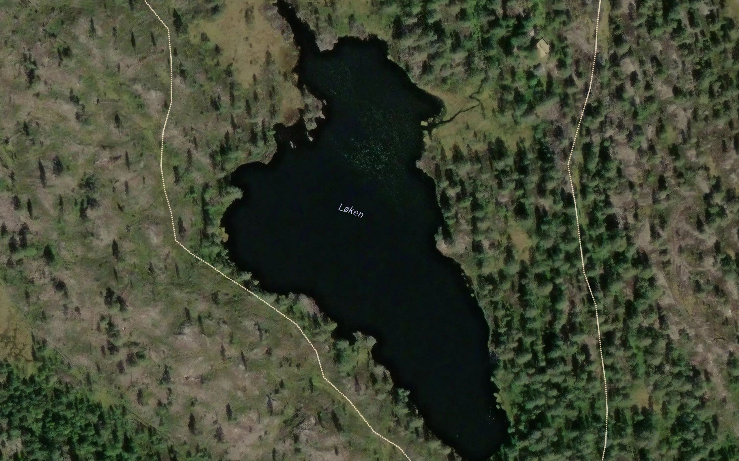 Lokentjern