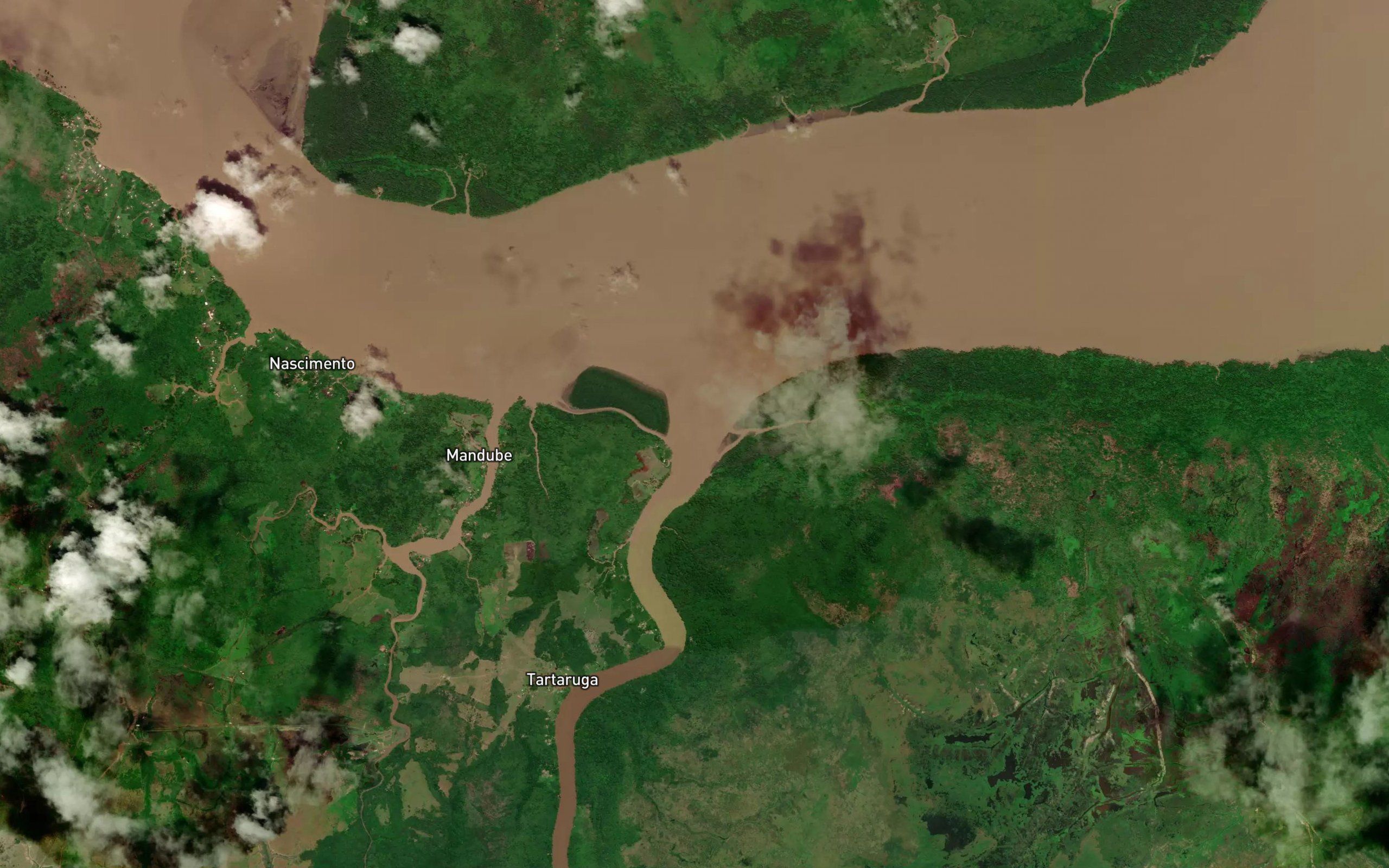 Canal das Tartarugas
