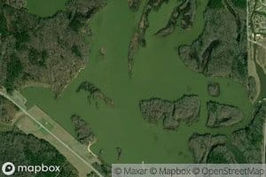 Tadpole Creek