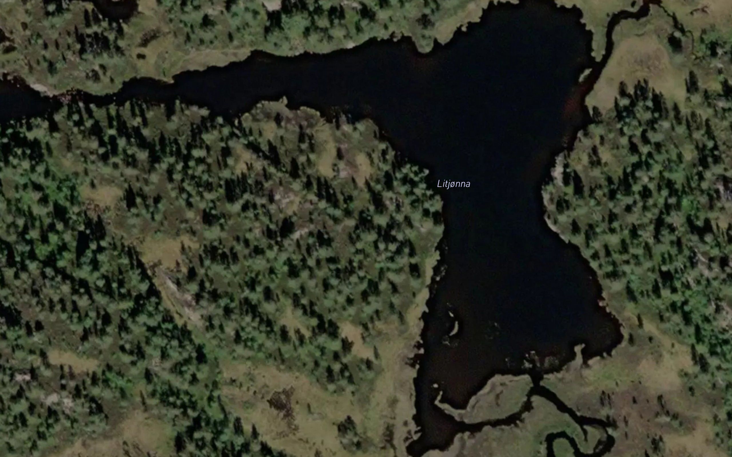Litjorna