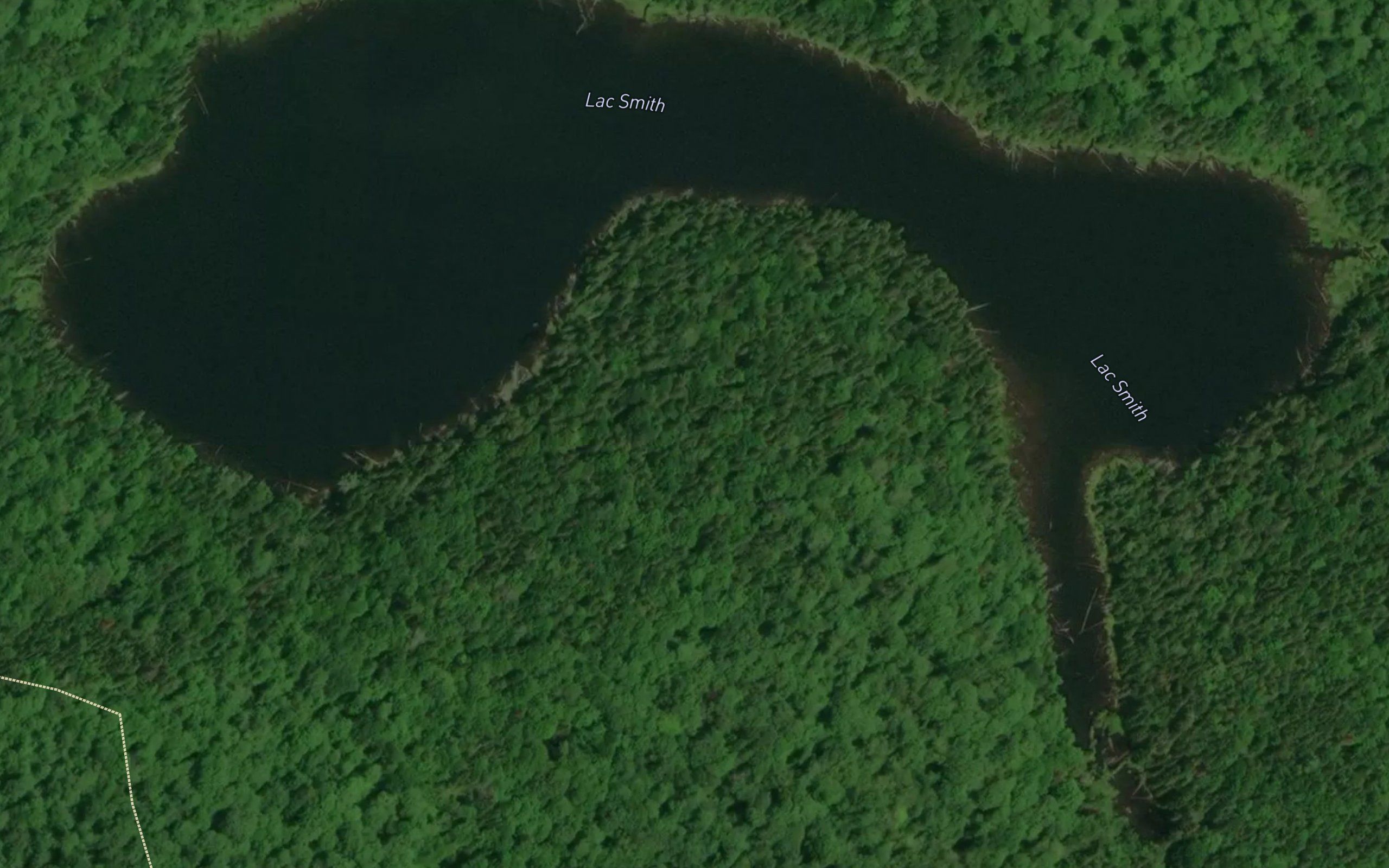Lac Smith