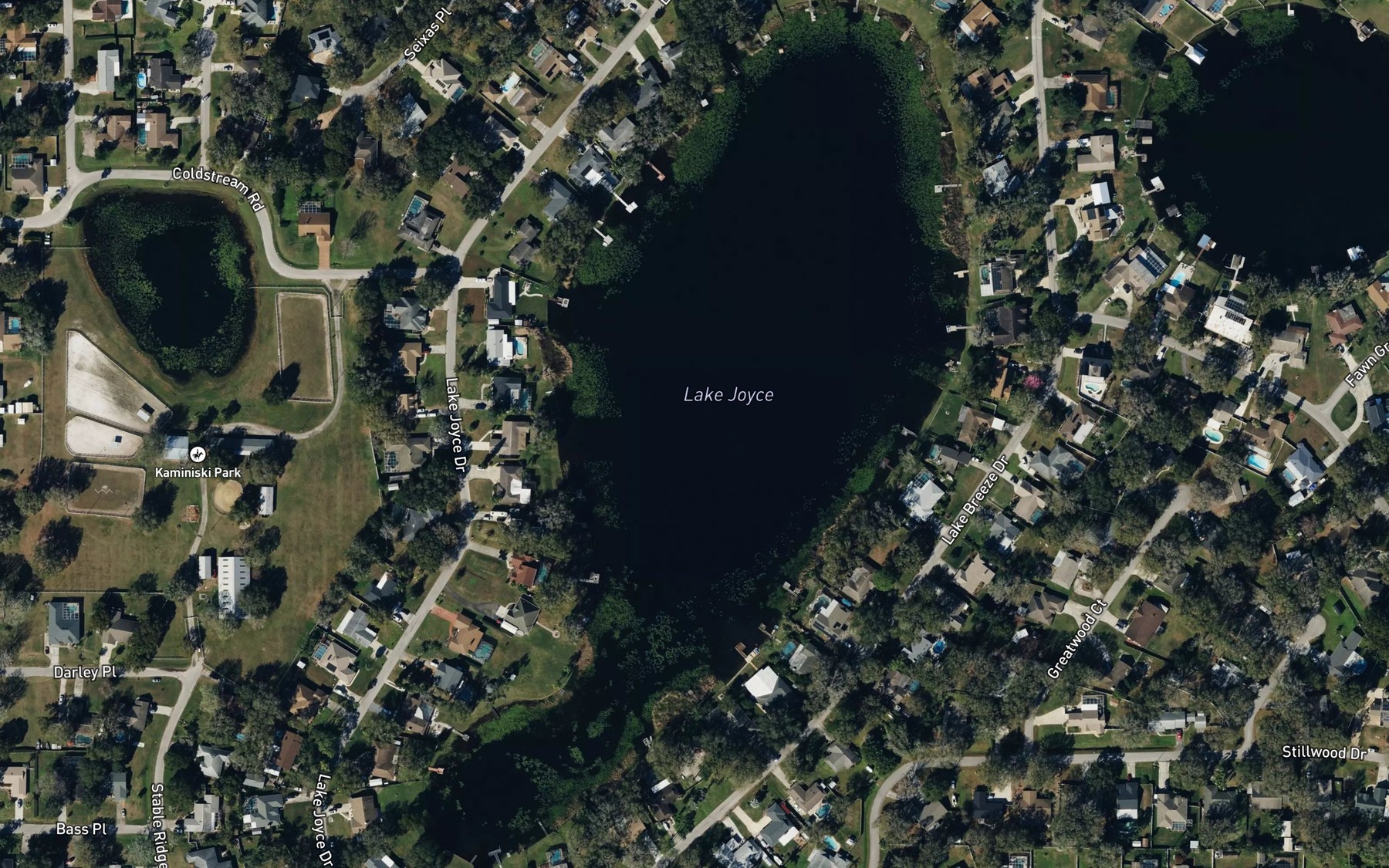 Satellite map of the Lake Joyce