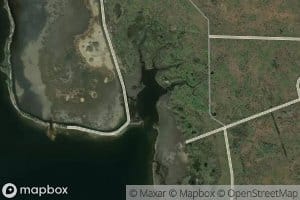 Johnson Bayou