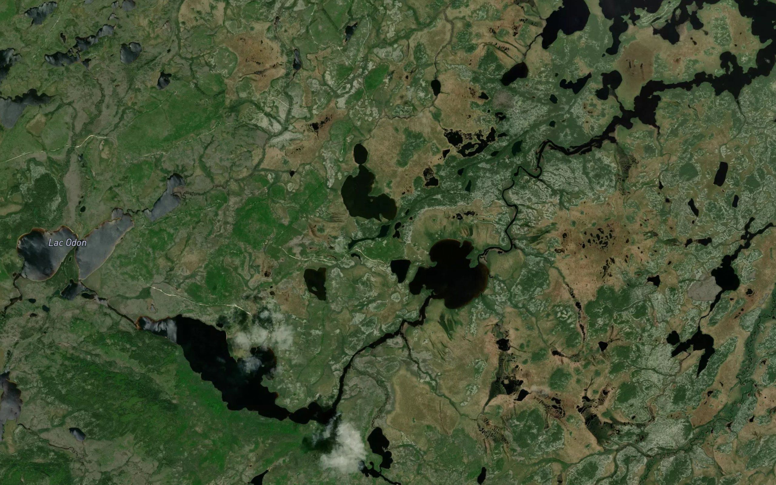 Lac Odon