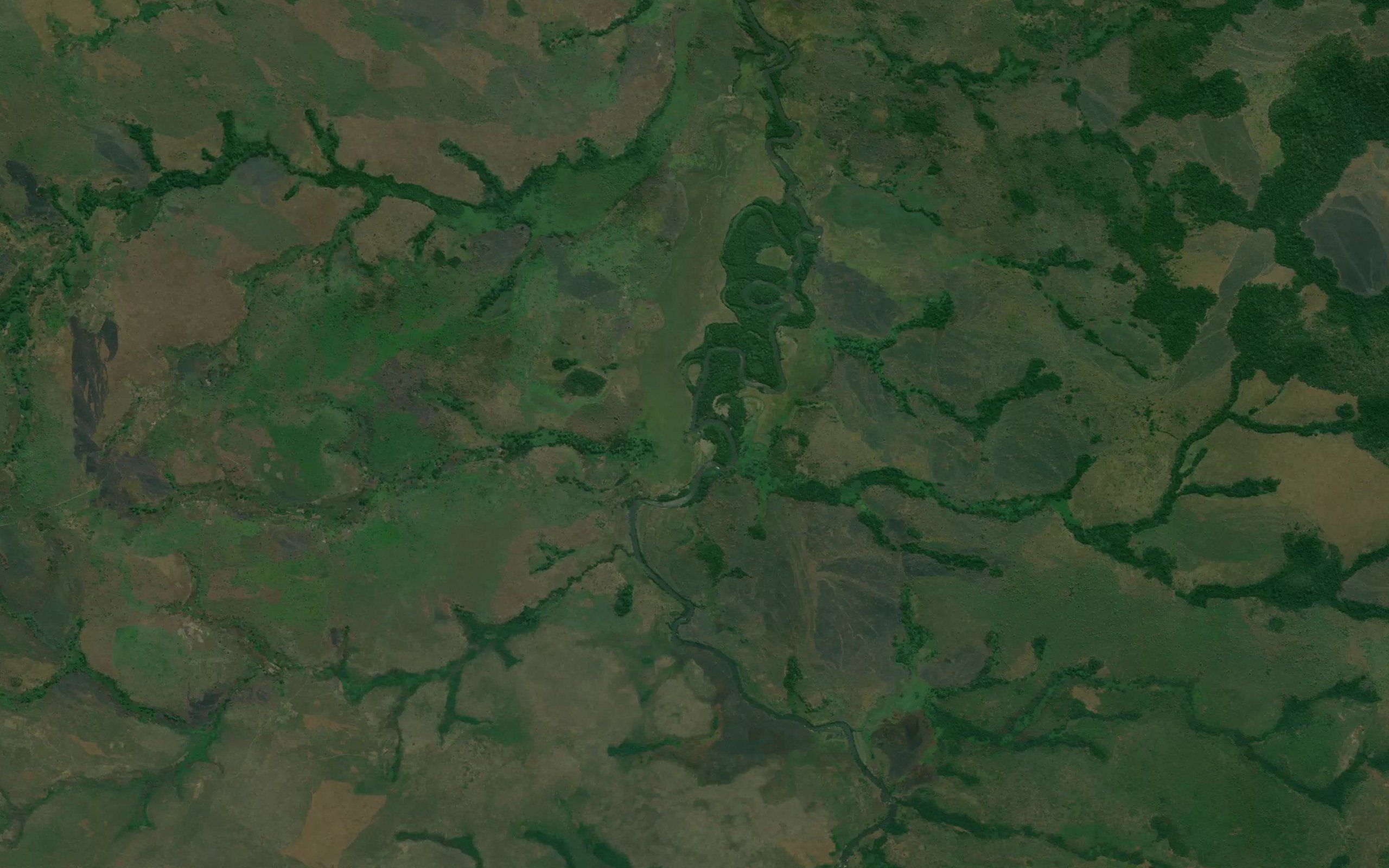 Kamwila