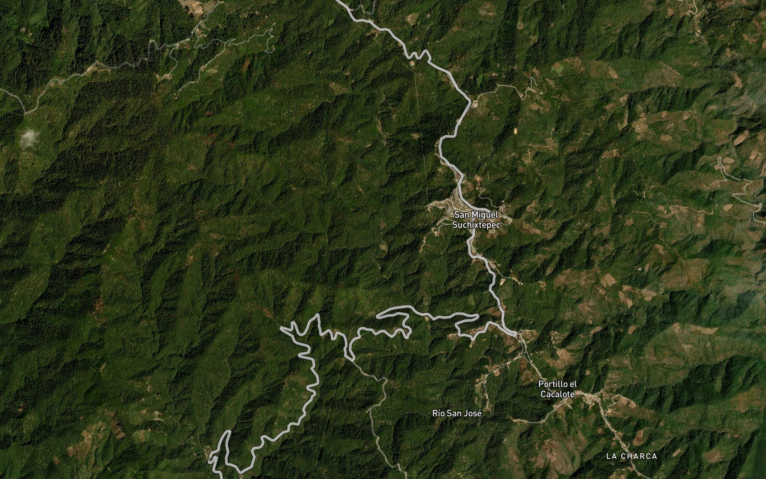 Yonguiche