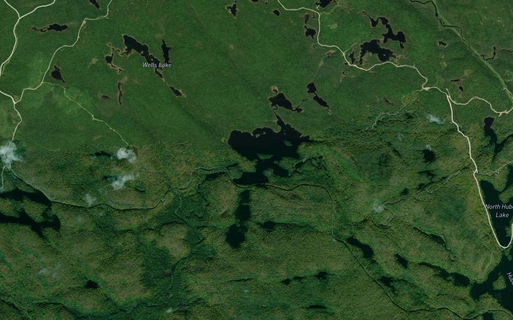 Satellite map of the Speckled Trout Lake