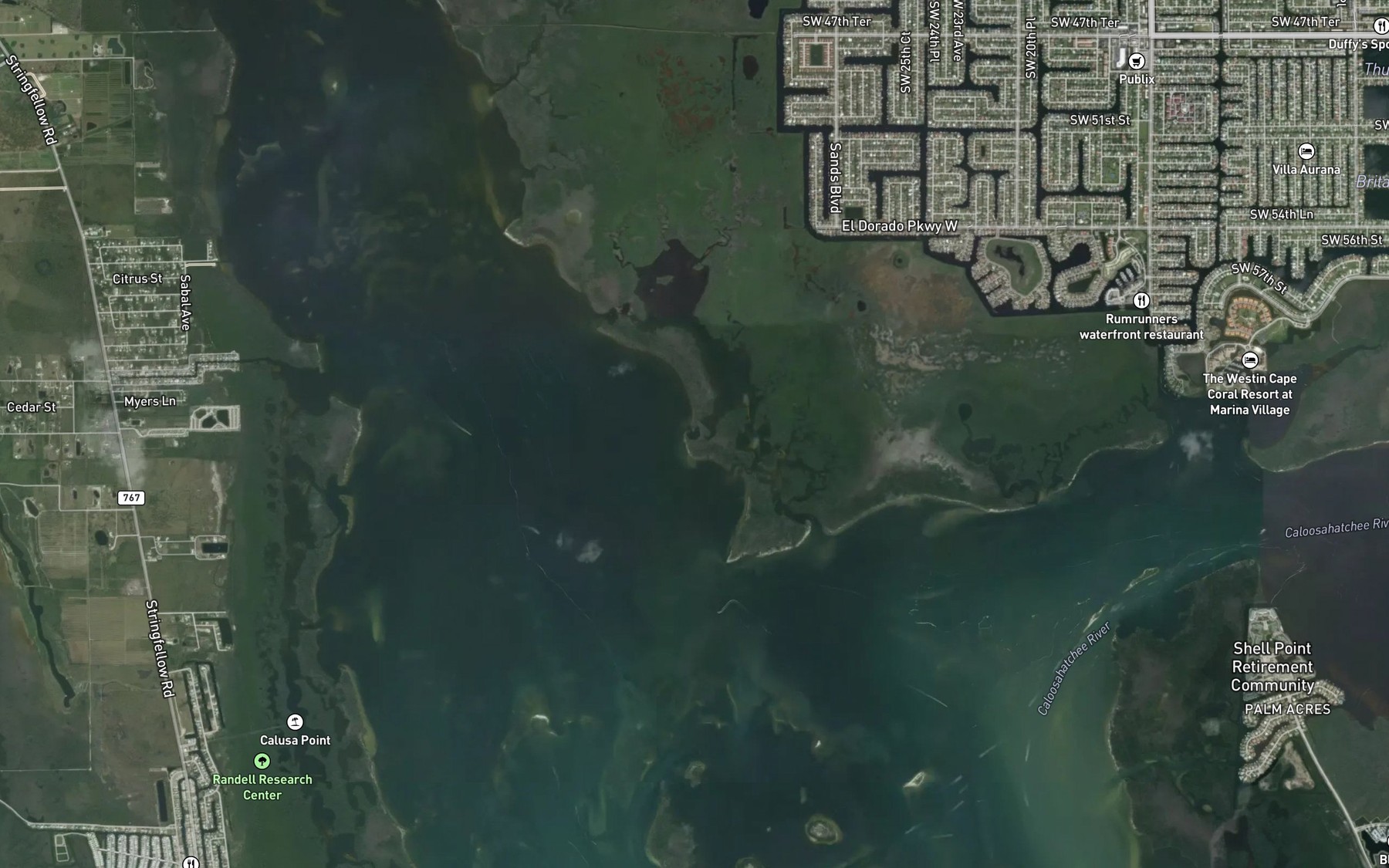 Satellite map of the Eagle Nest
