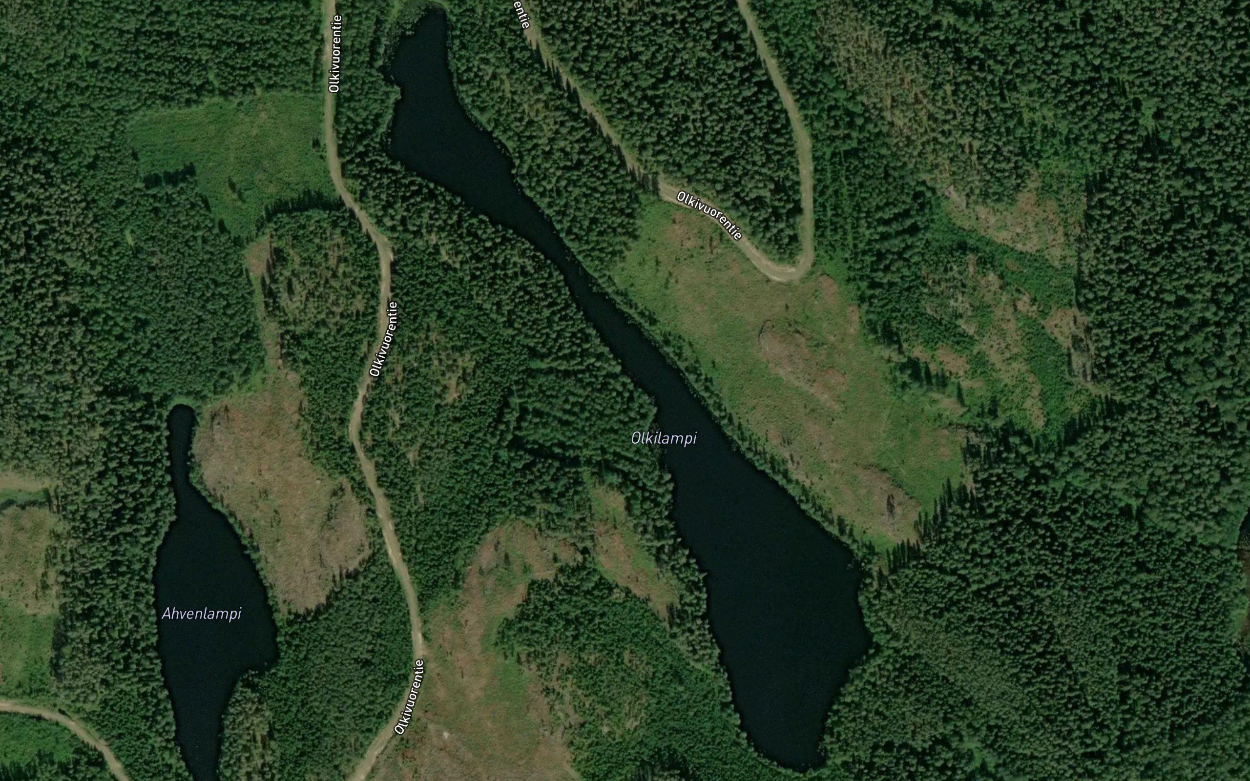 Olkilampi
