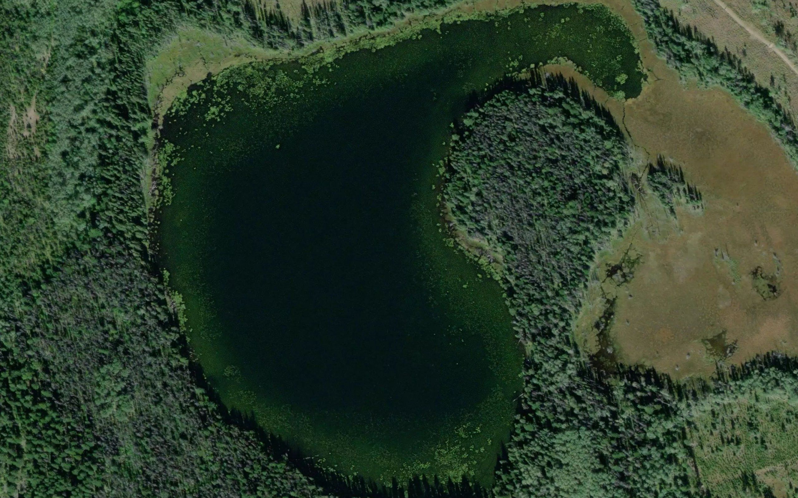 MacDougall Lake