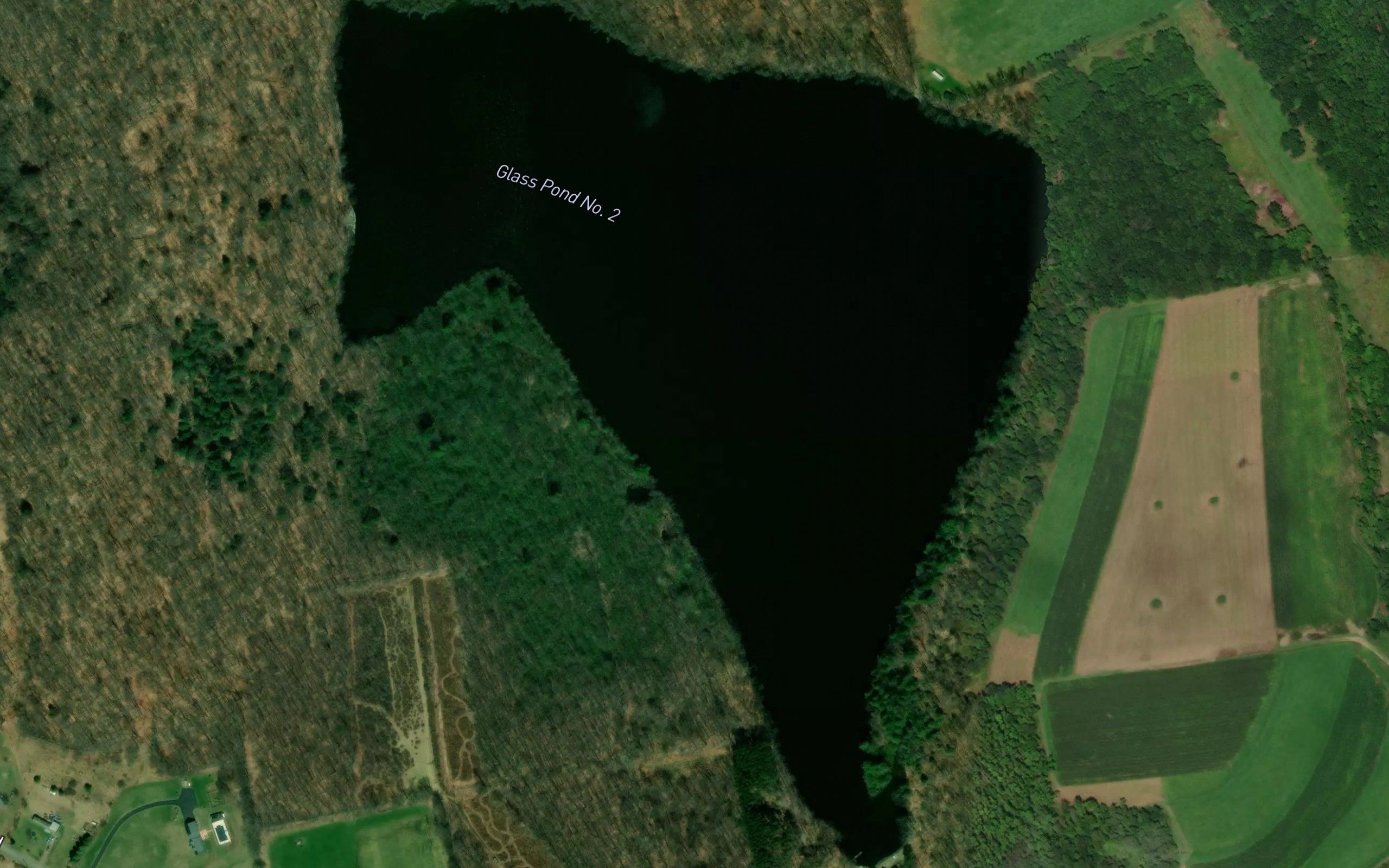 Glass Pond Number Two