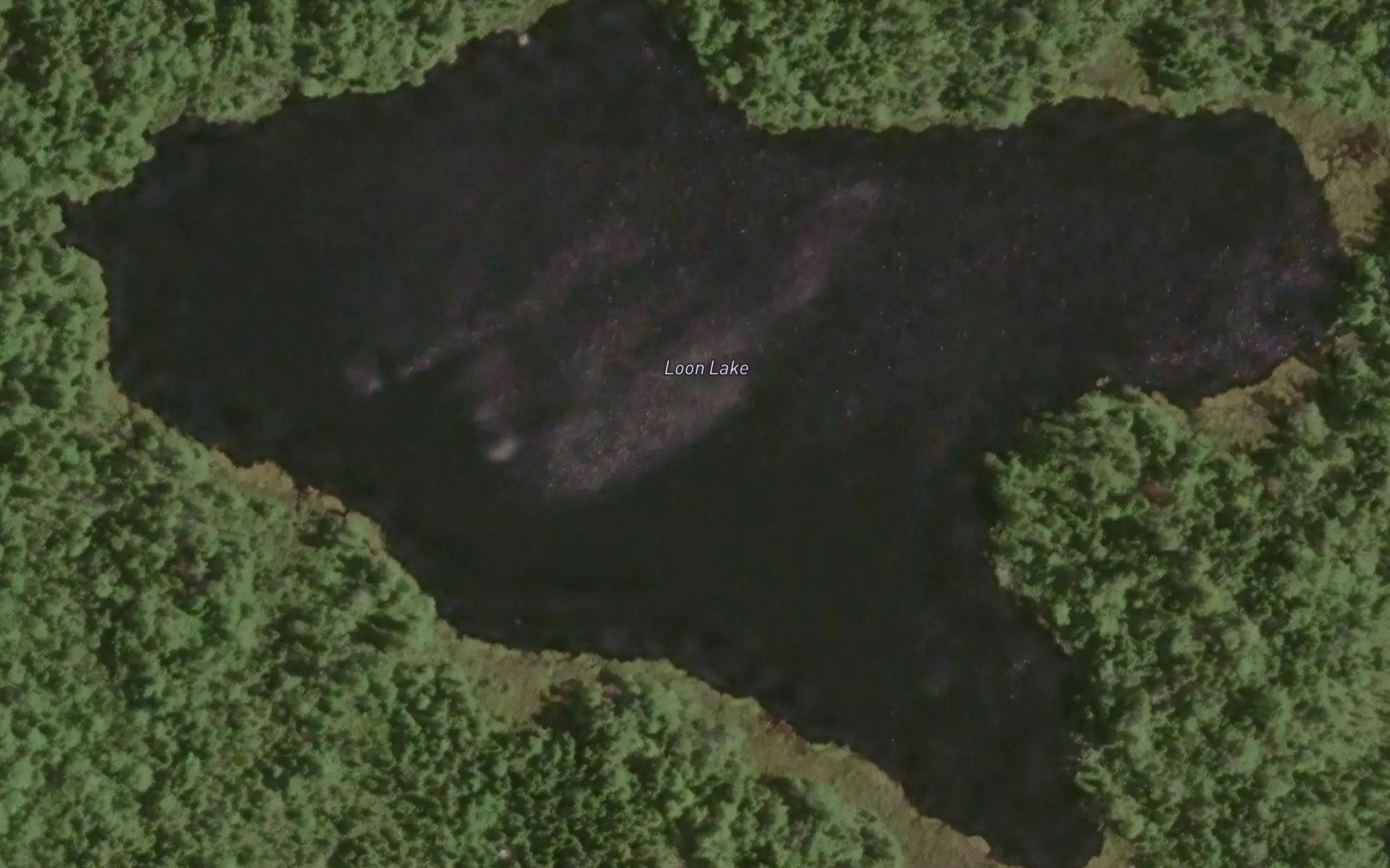 Loon Lake