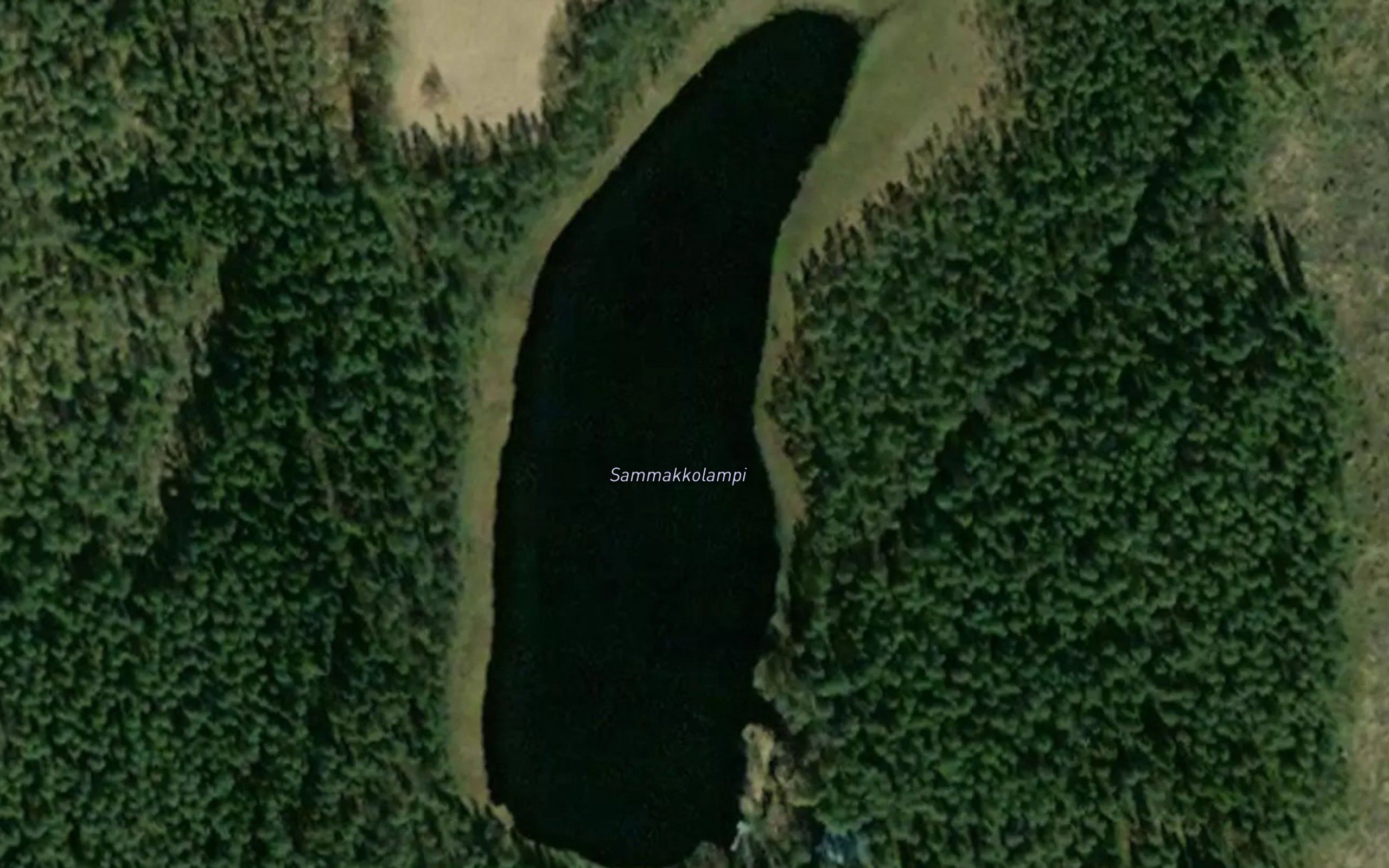 Sammakkolampi