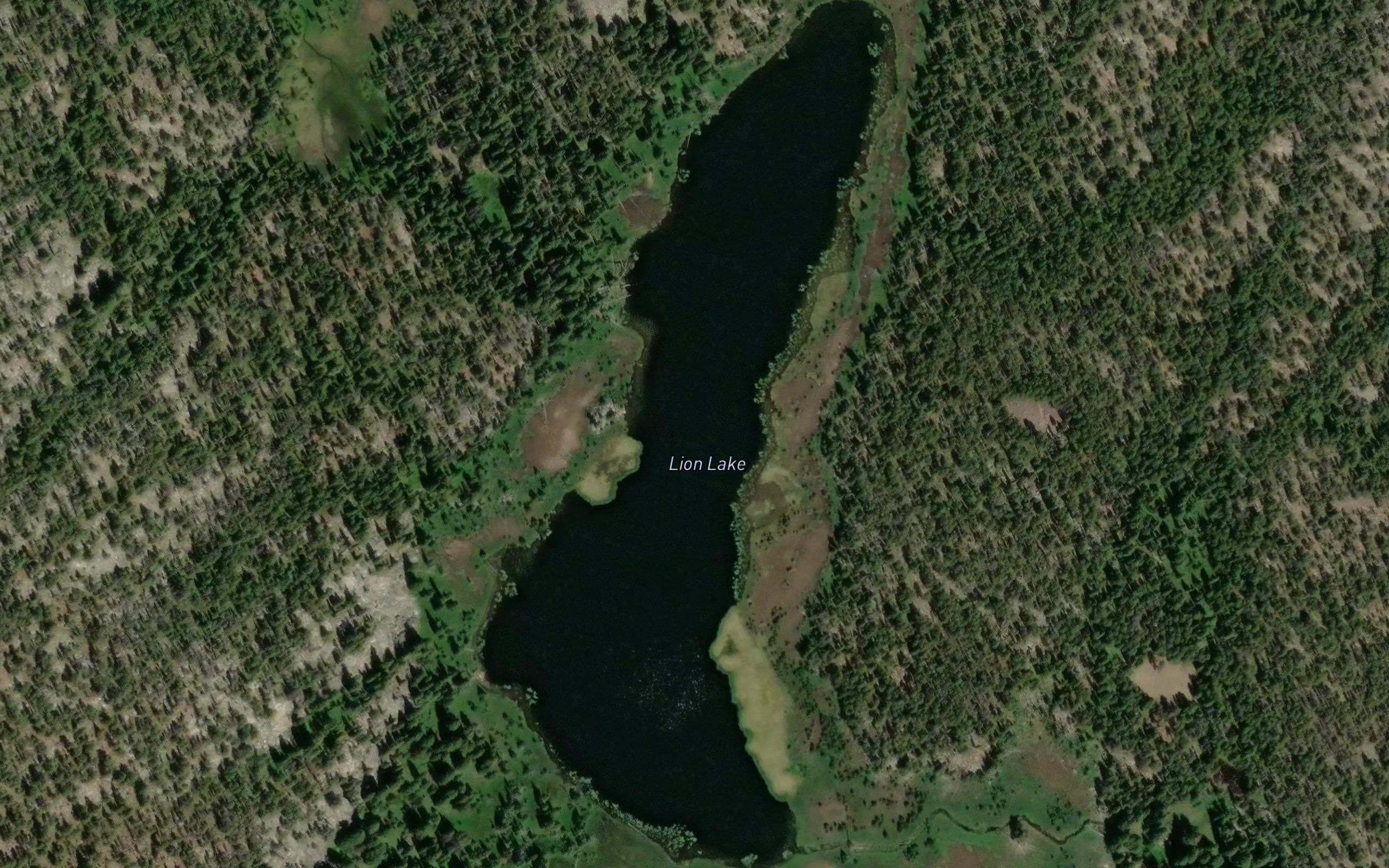 Lion Lake