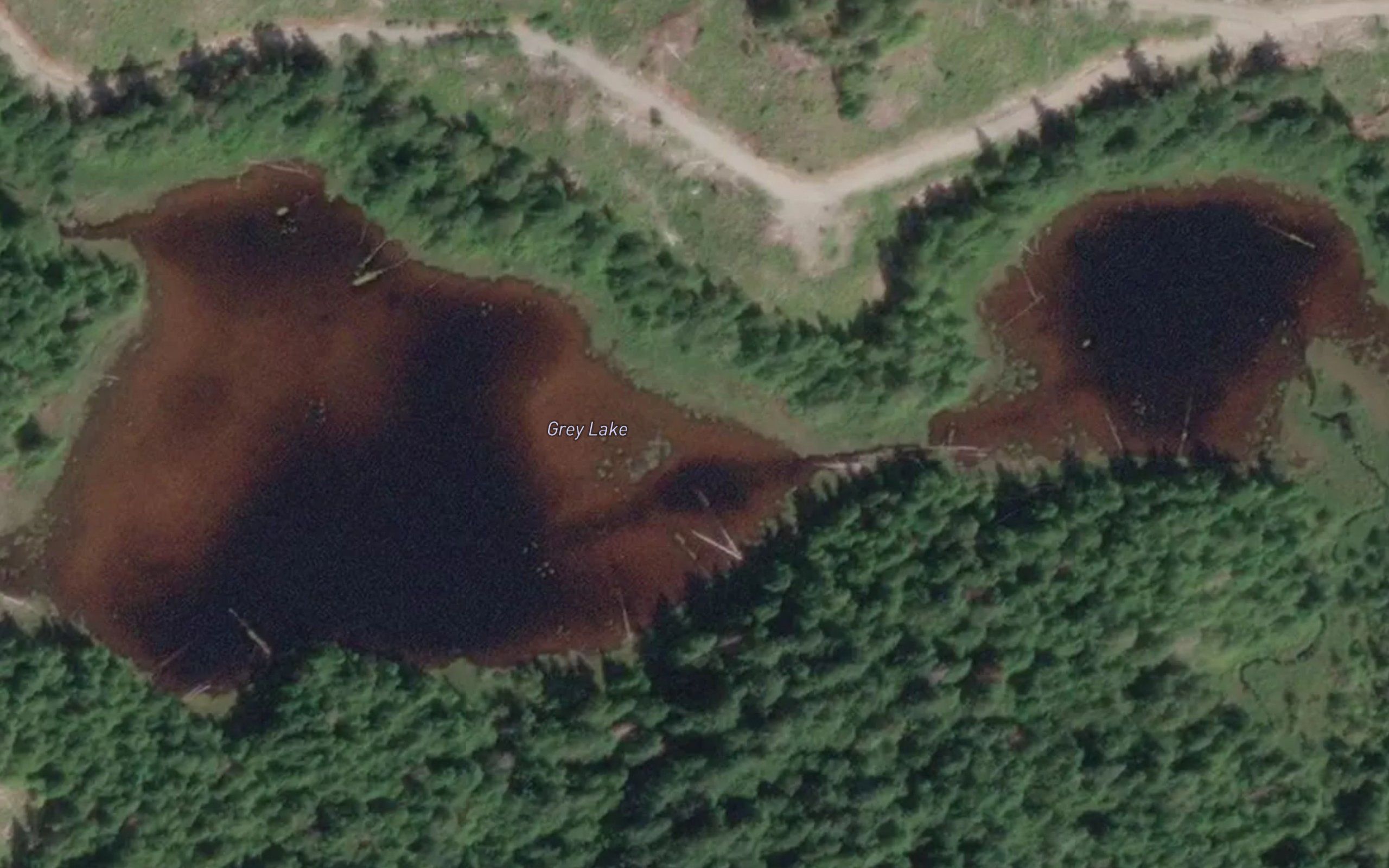 Grey Lake