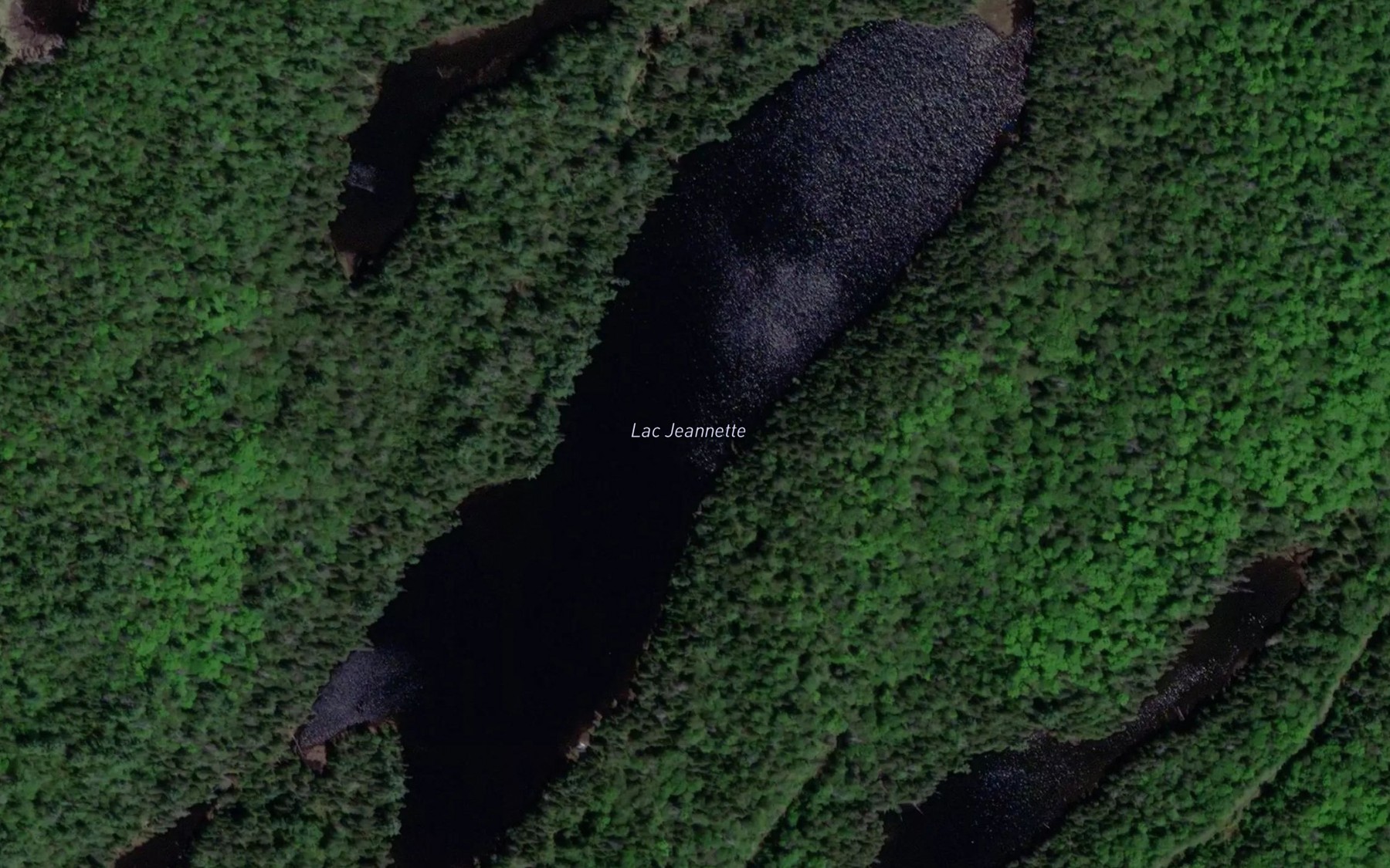 Satellite map of the Lac Jeannette