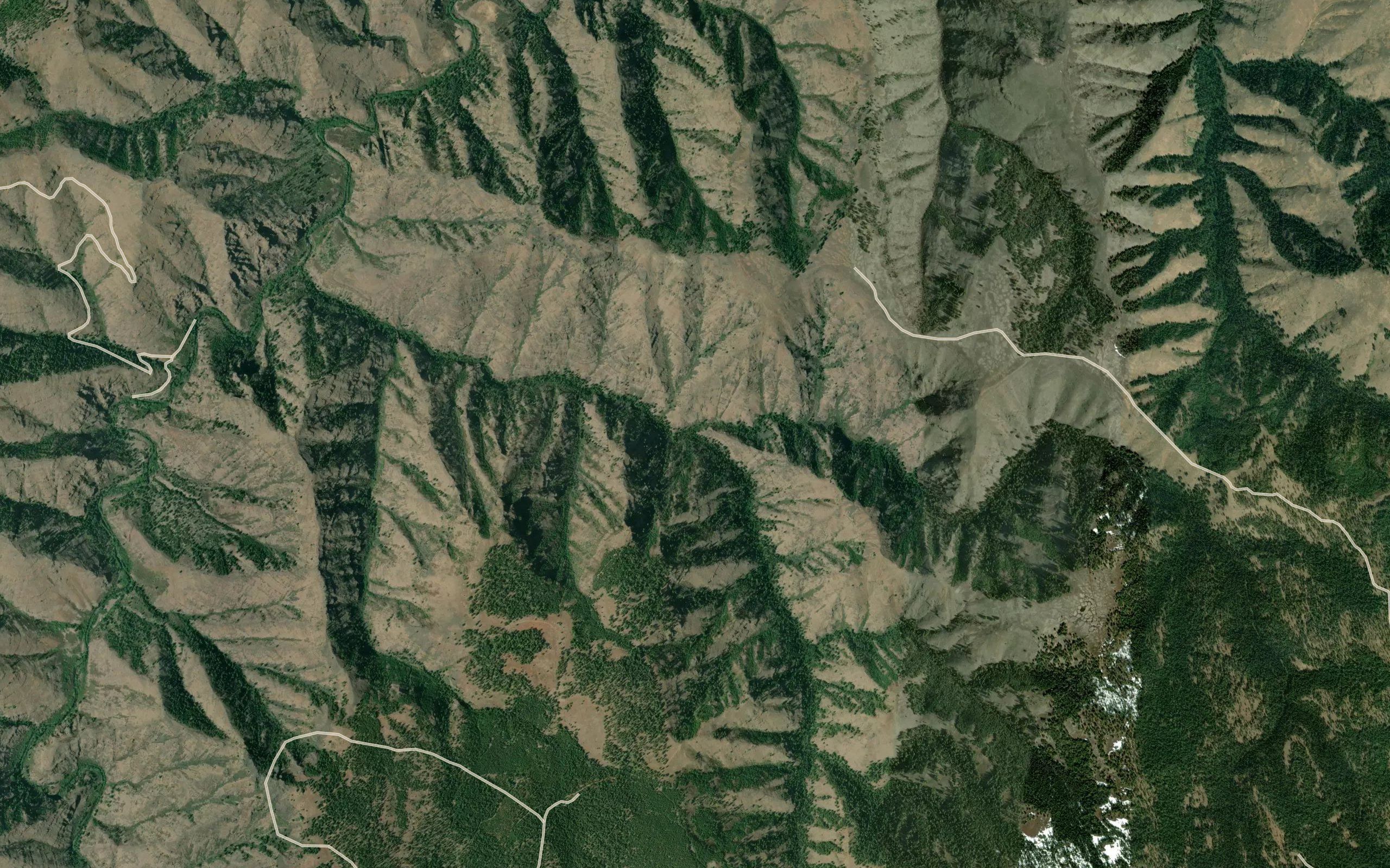 Lupine Creek