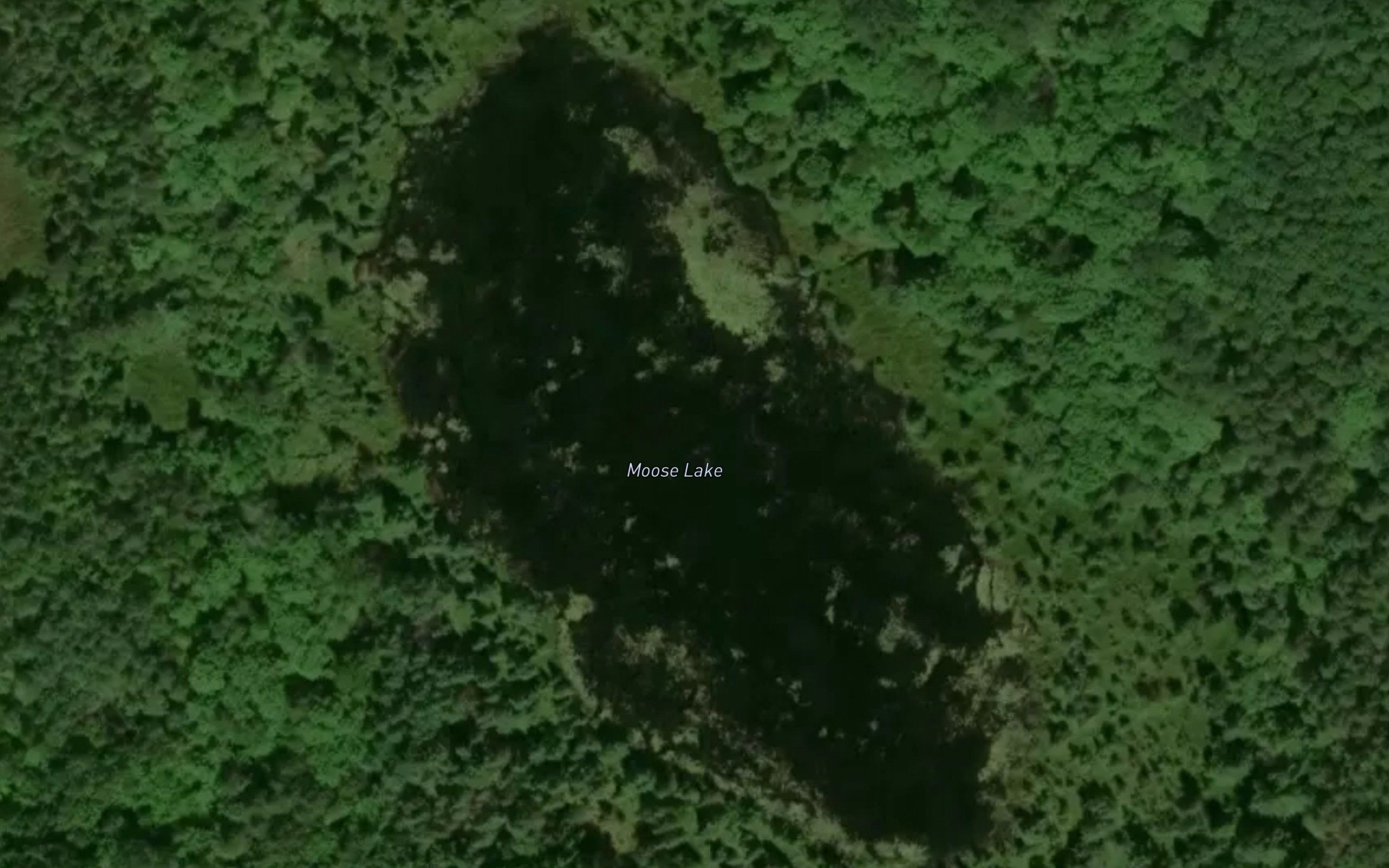 Moose Lake