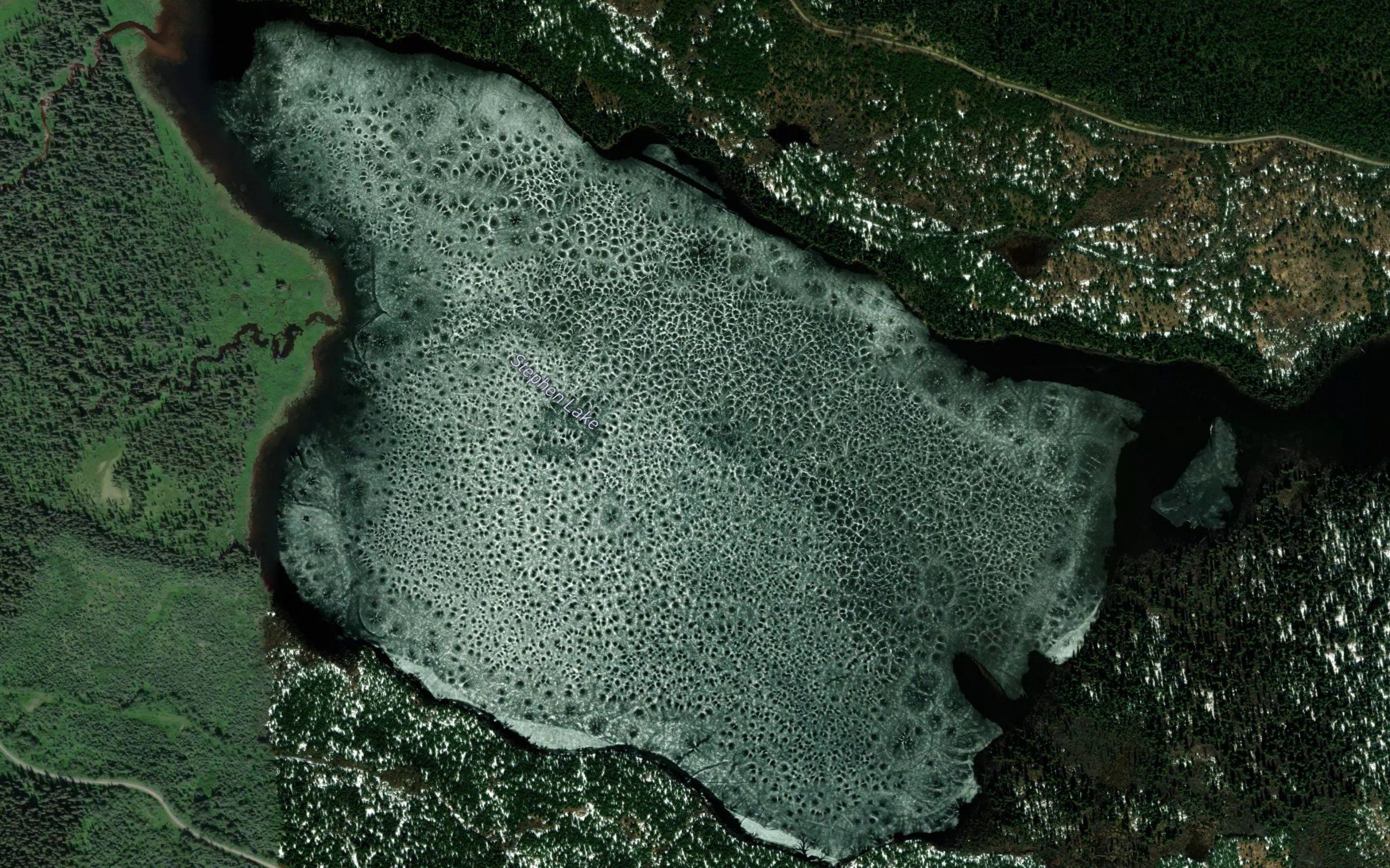 Stephen Lake