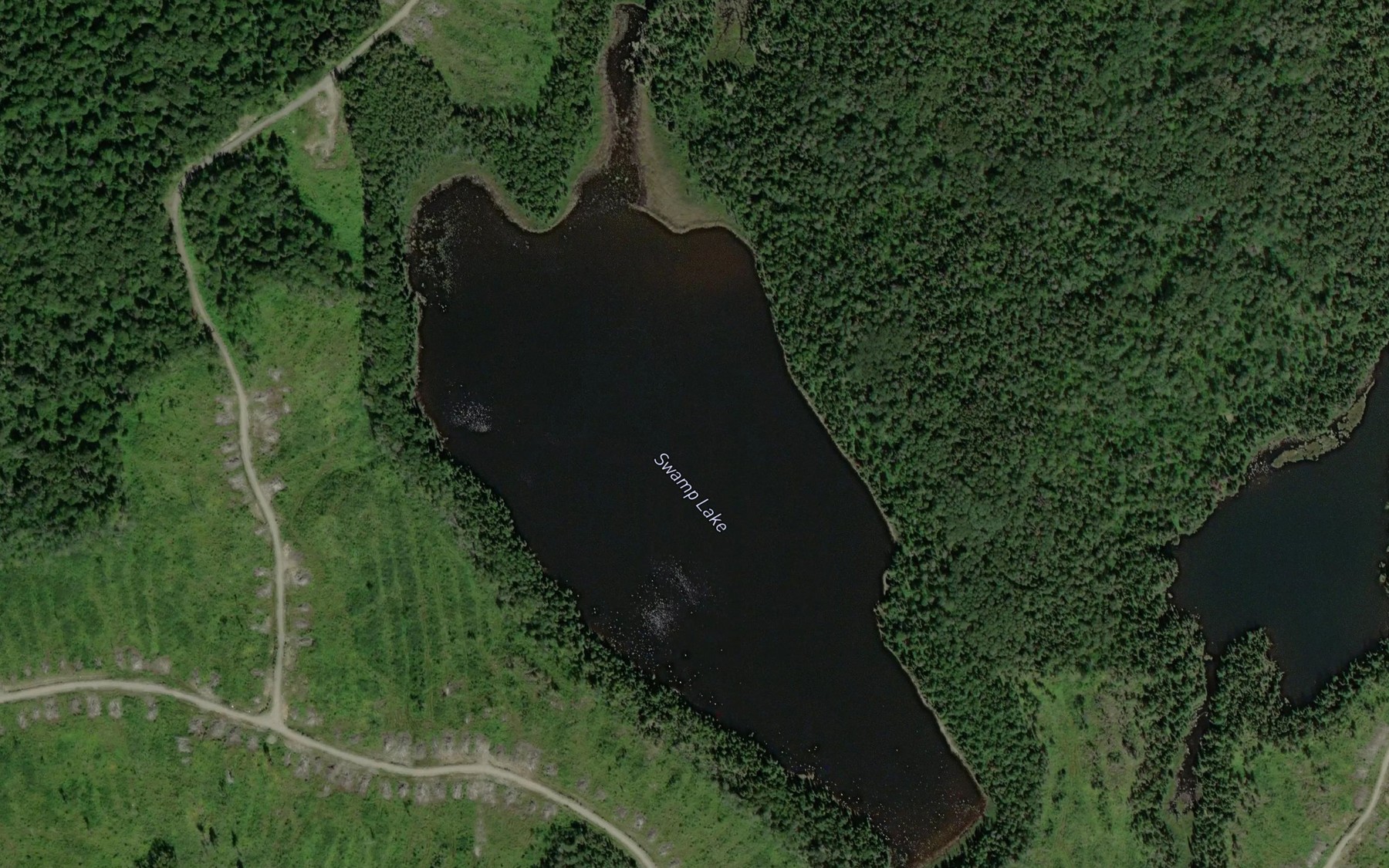 Satellite map of the Swamp Lake