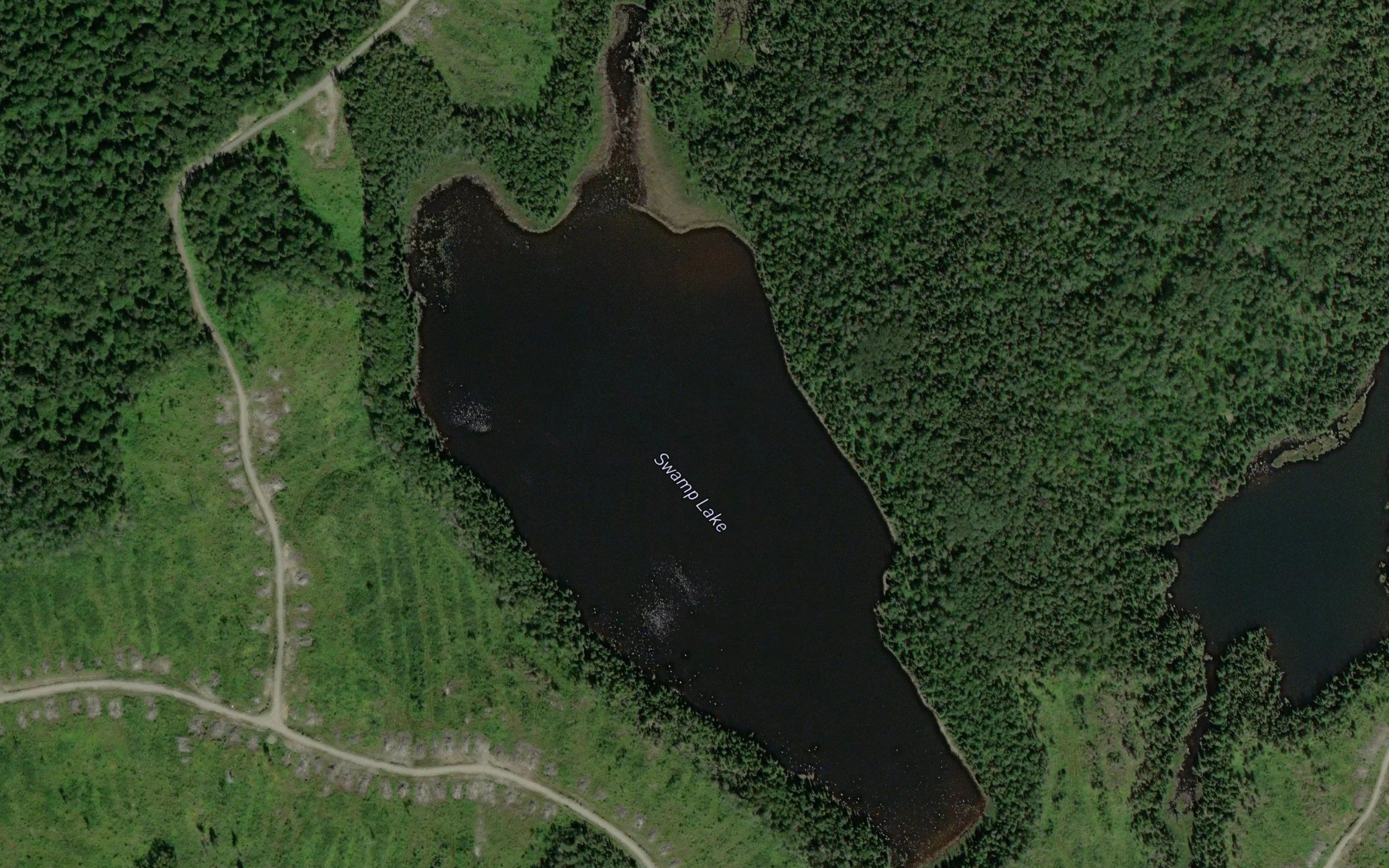 Swamp Lake