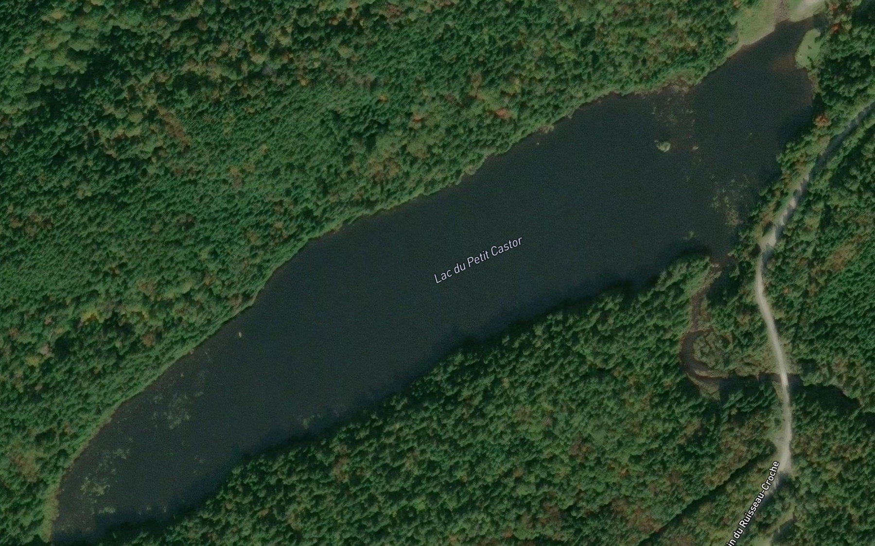 Satellite map of the Lac du Petit Castor